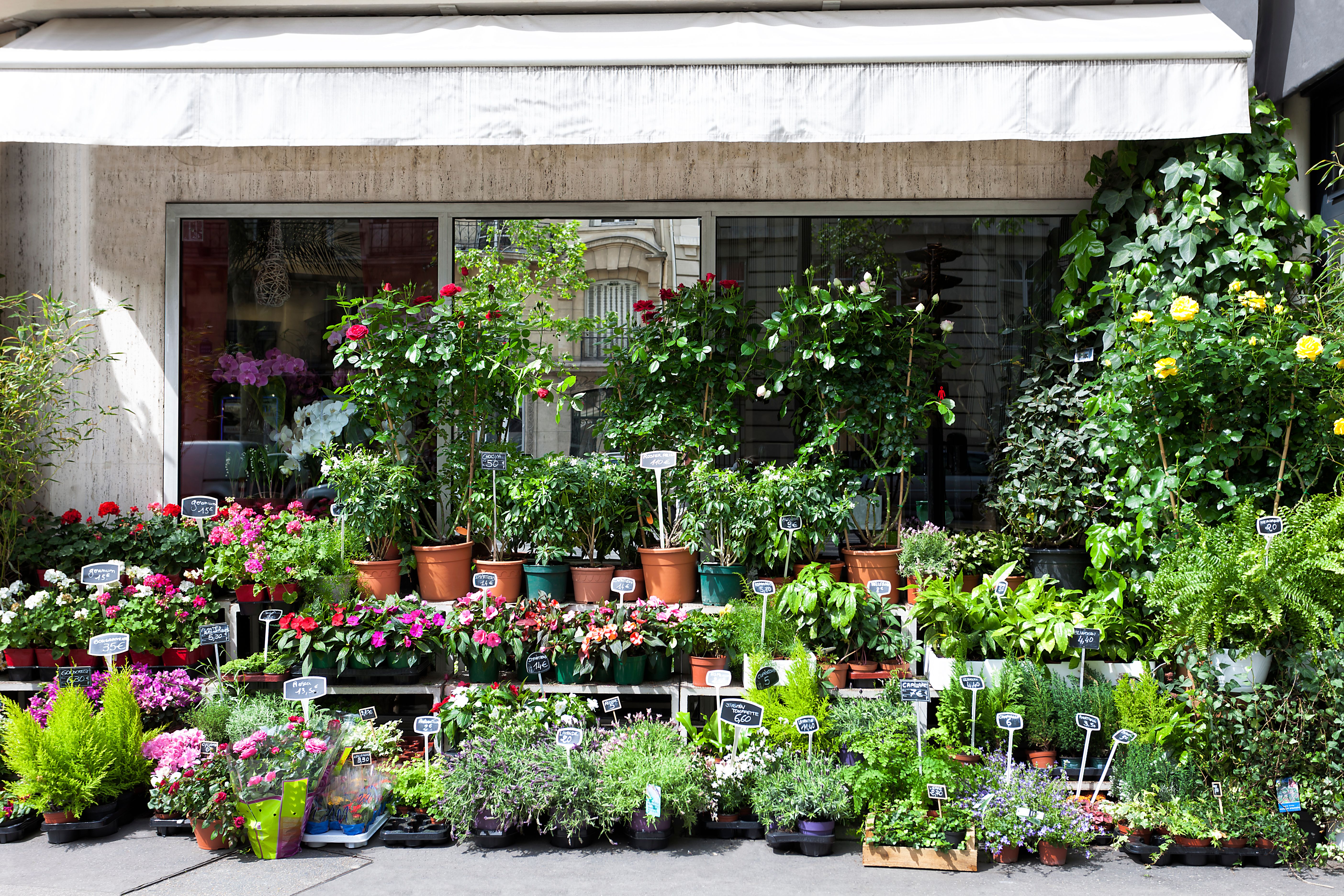 local garden shop