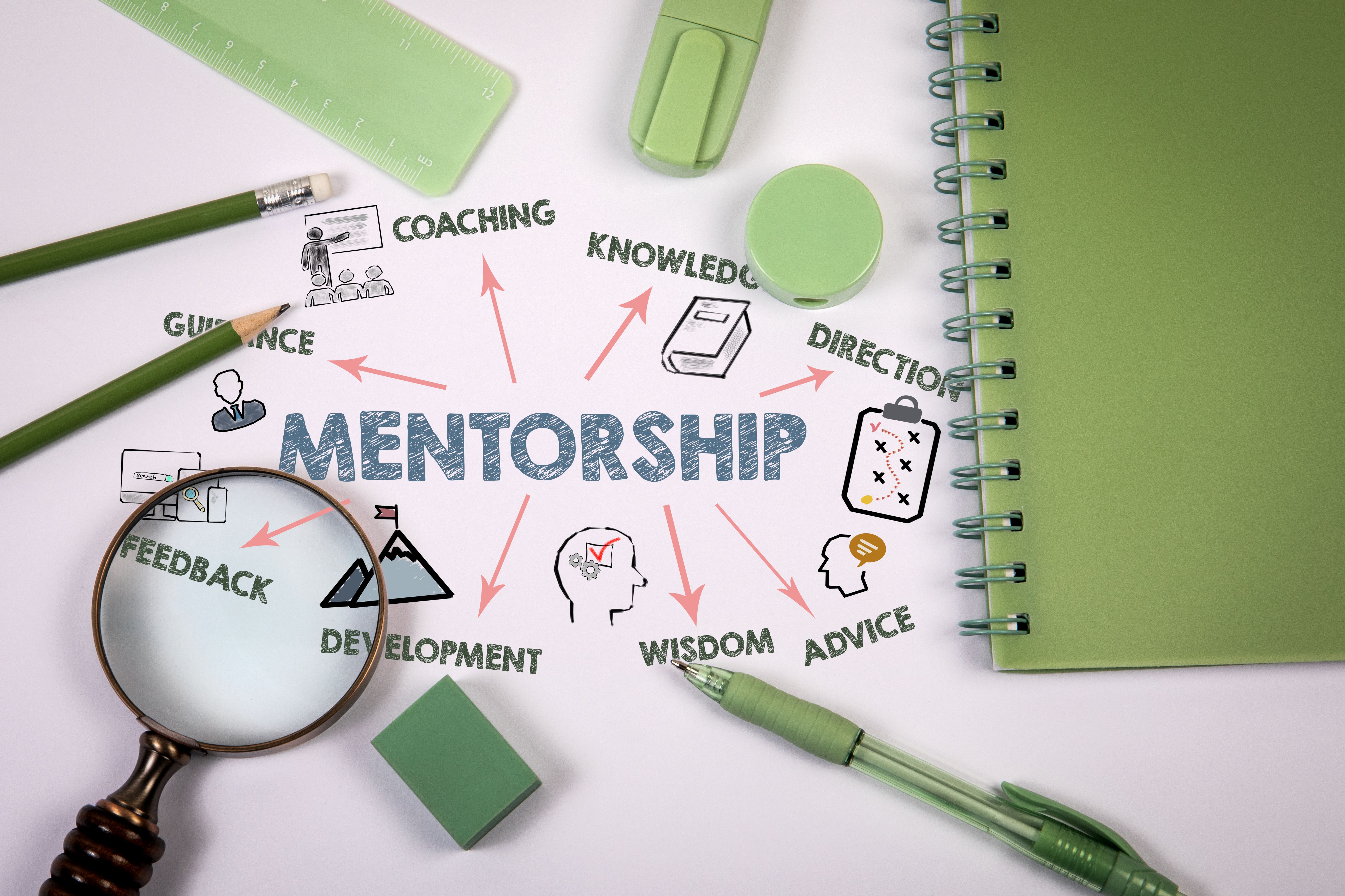 mentor guidance