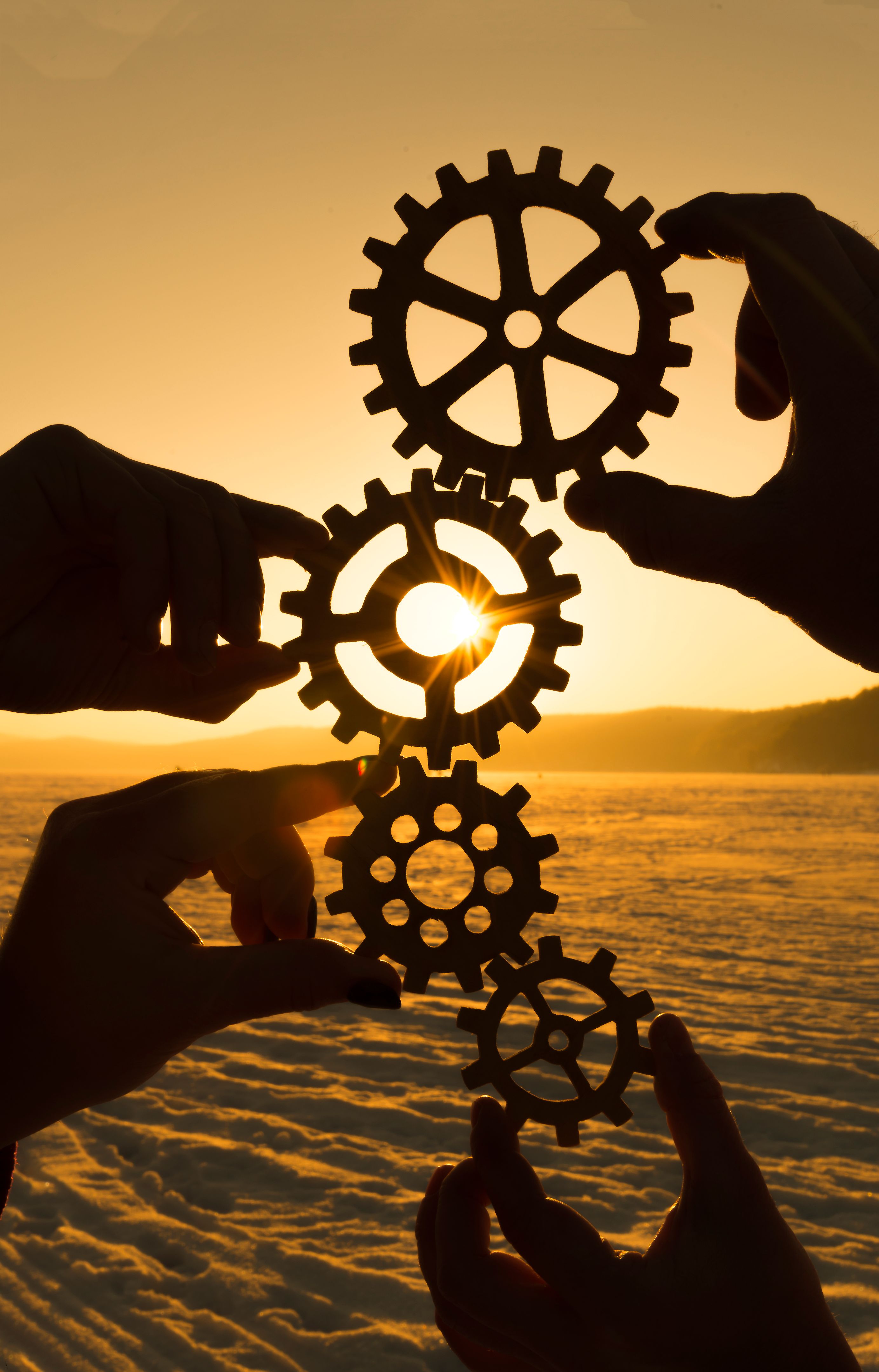 four hands are holding the gears against the sunset.