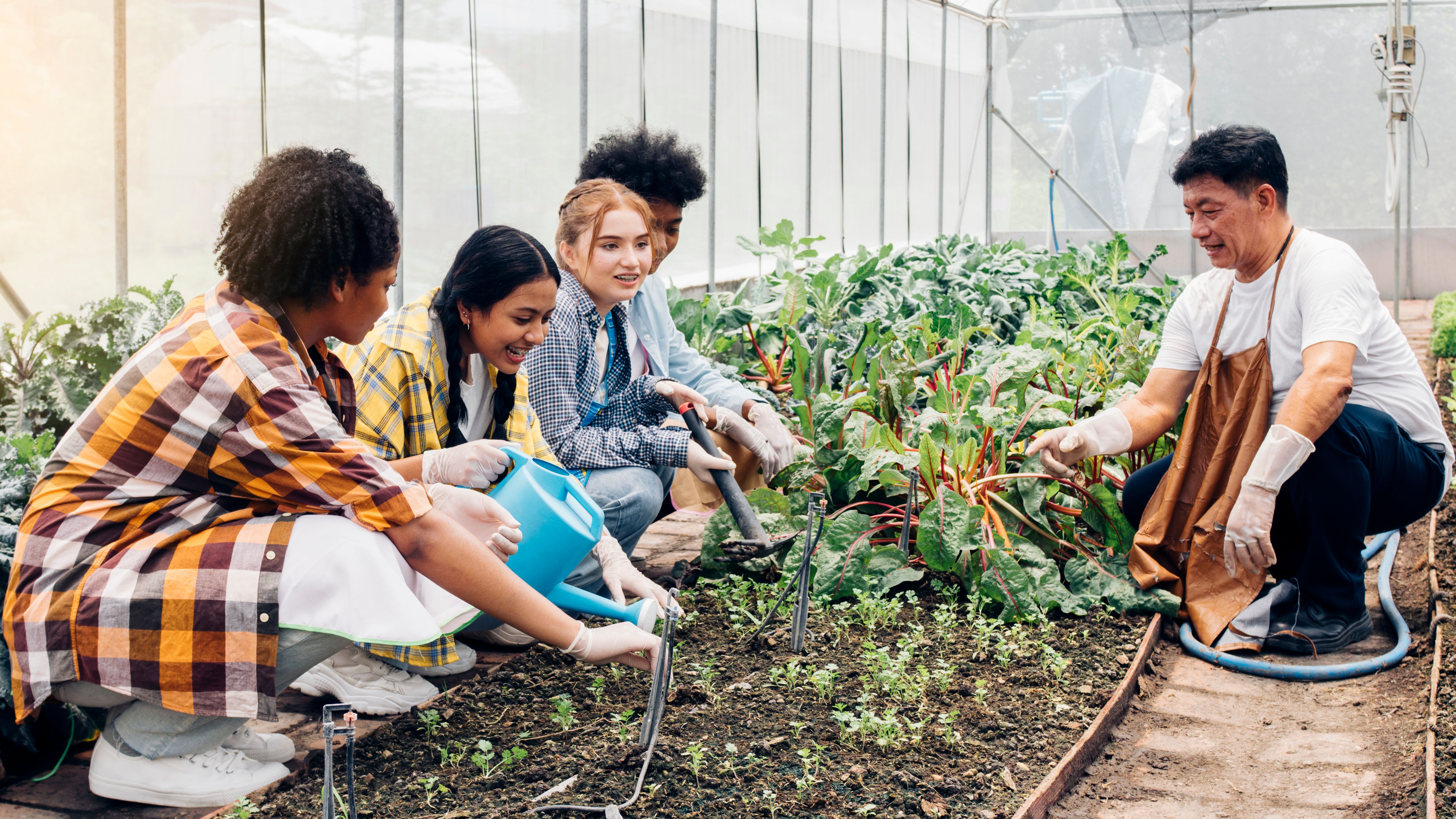  community education farming