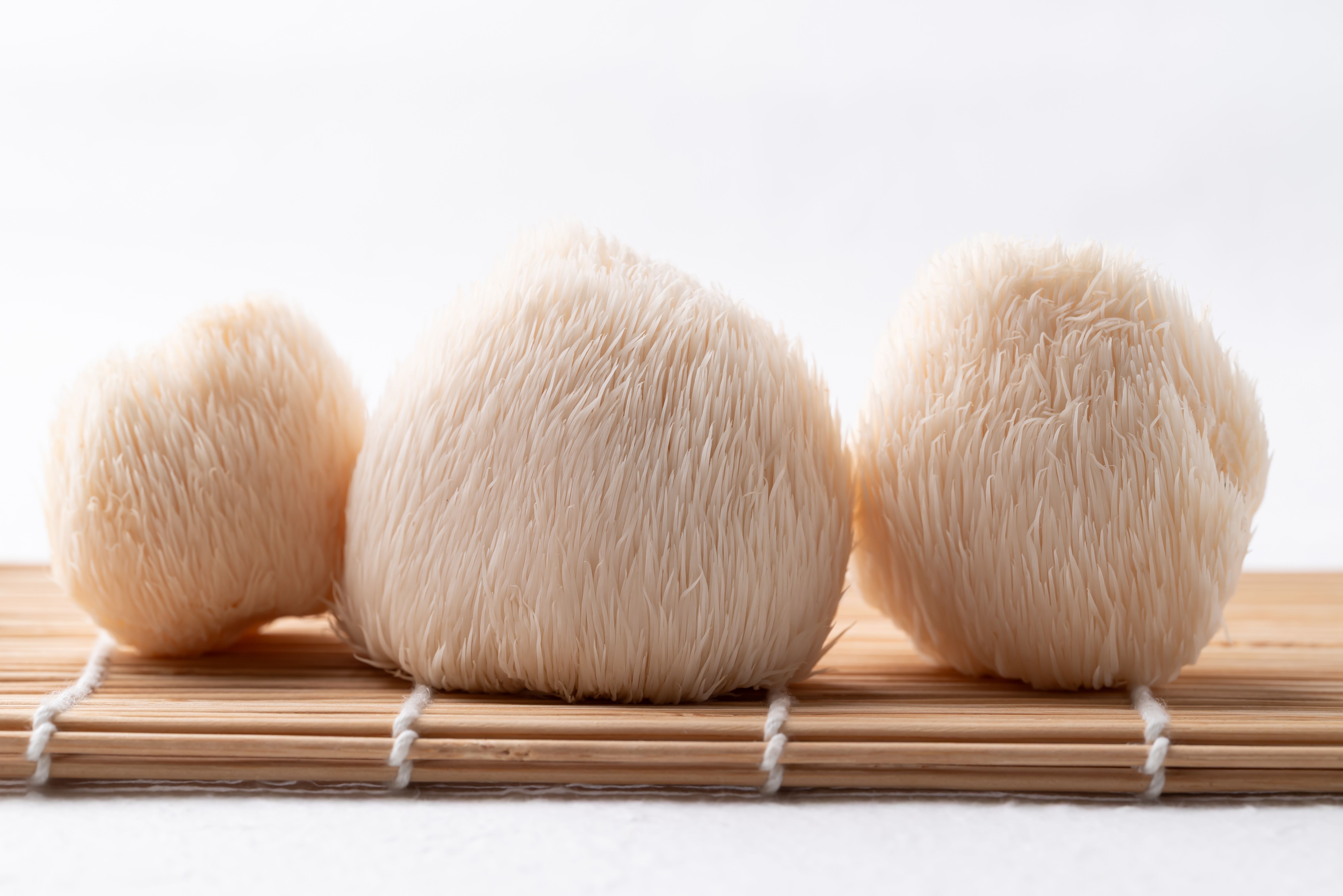 lion's mane mushroom