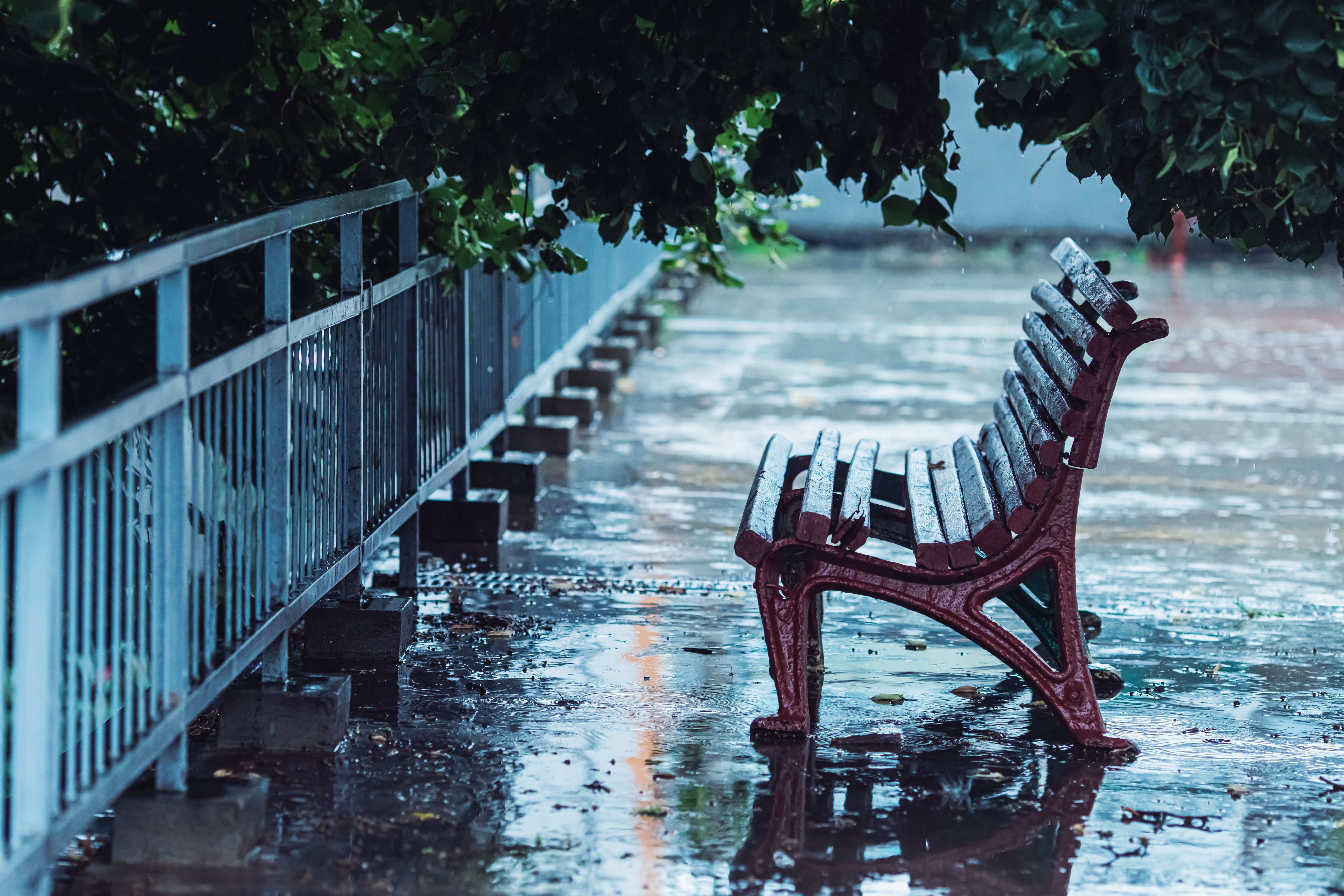 fence rain