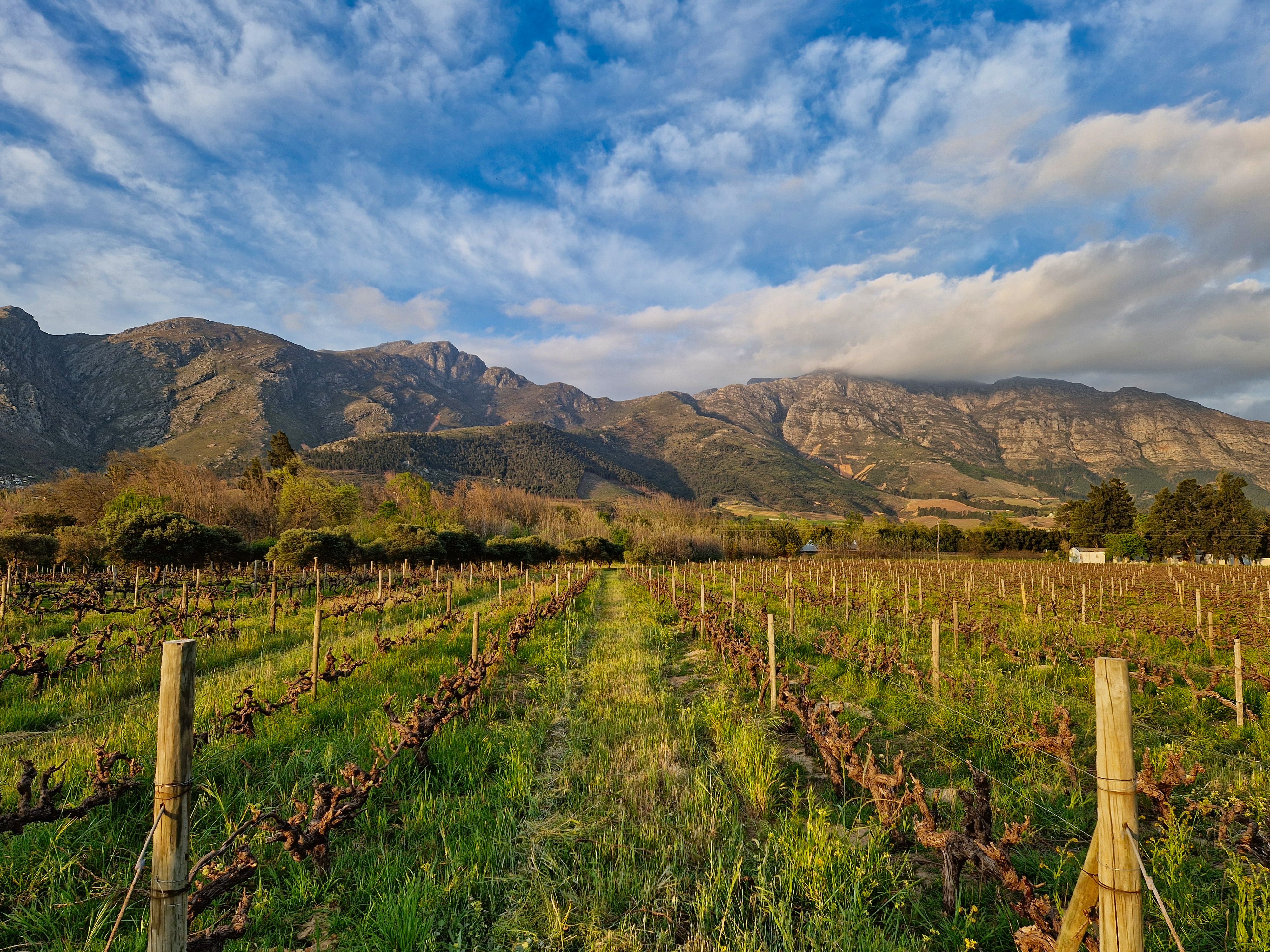 eco tourism Cape Town