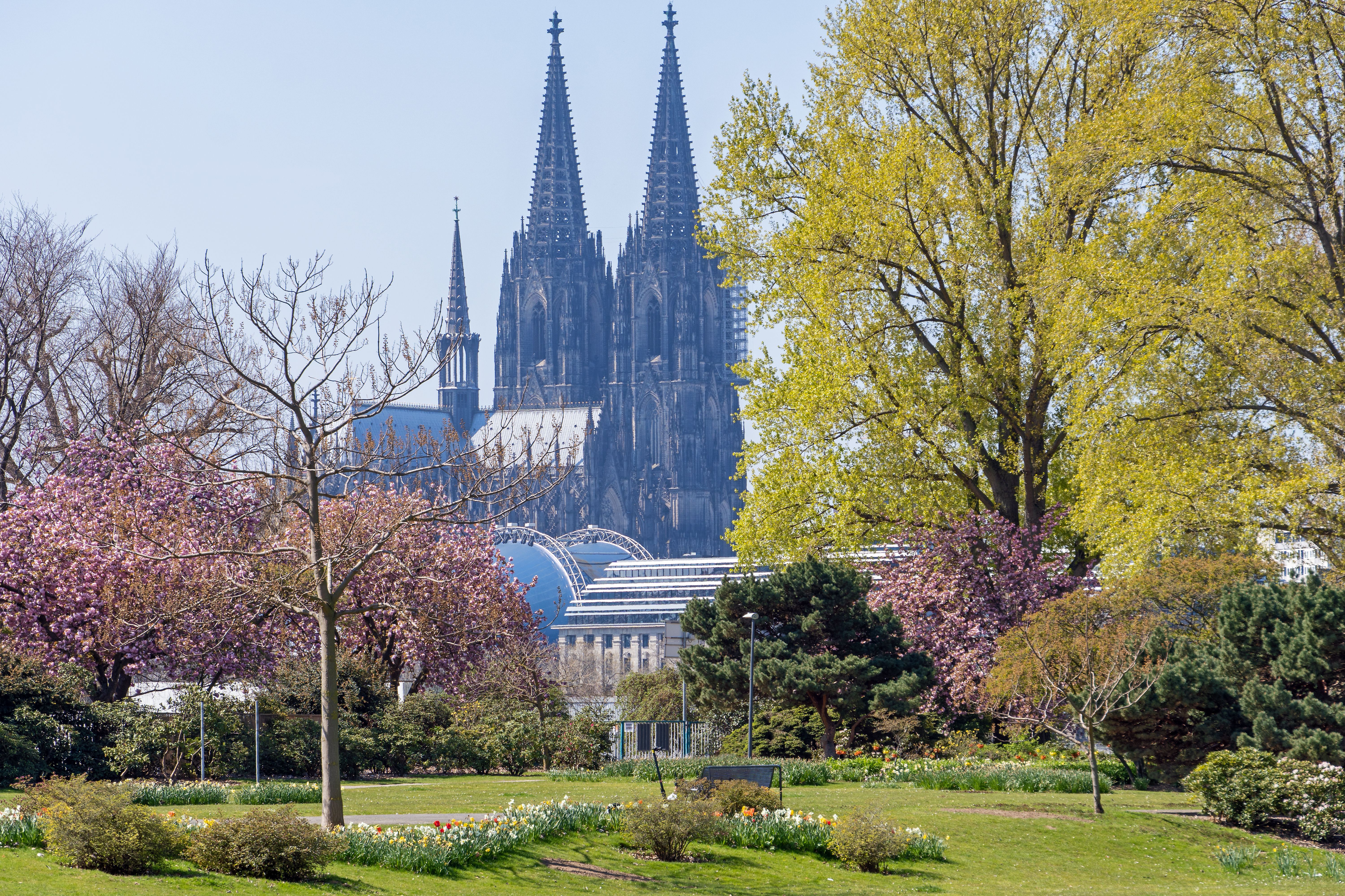 cologne spring