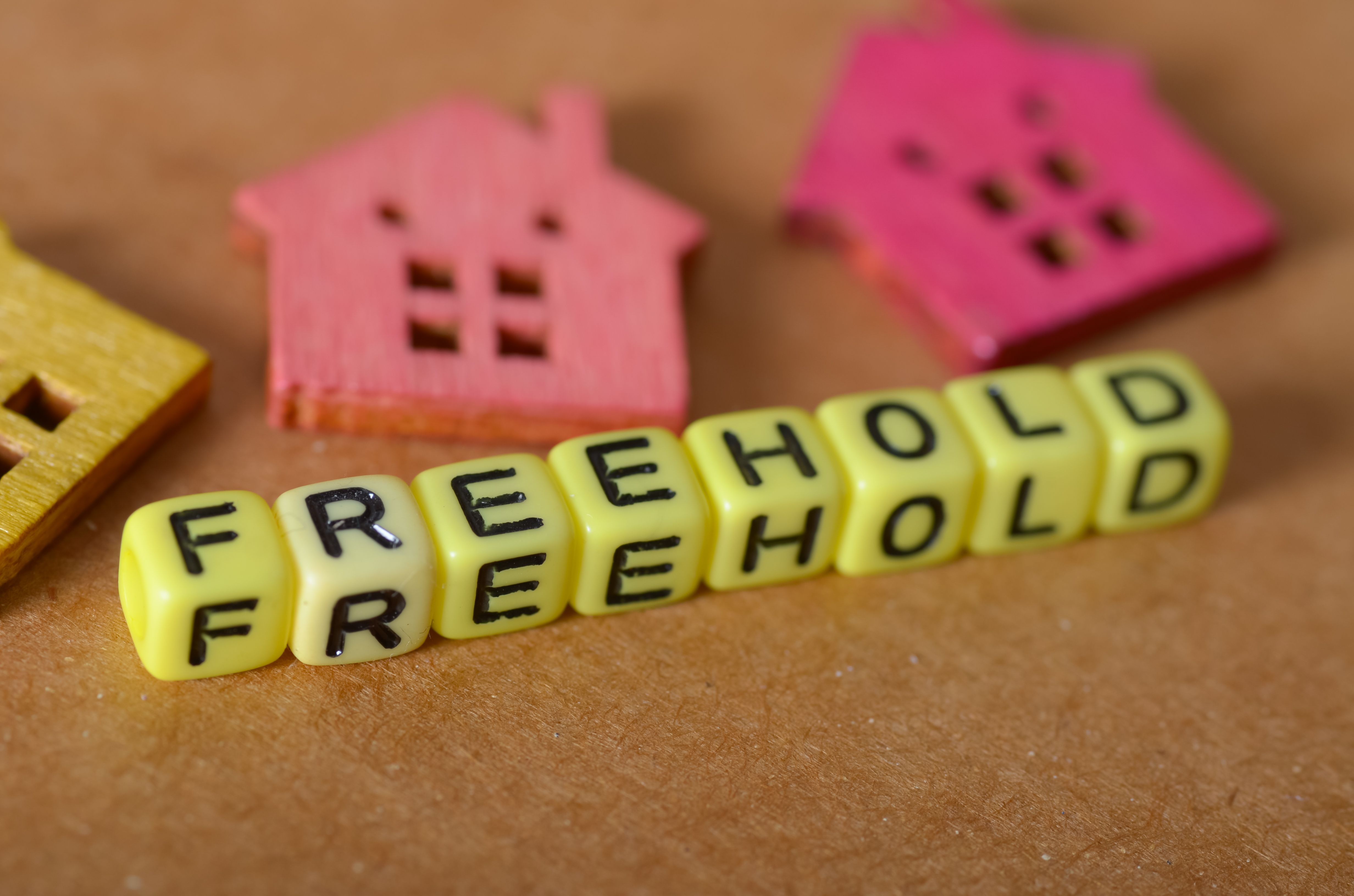 freehold property