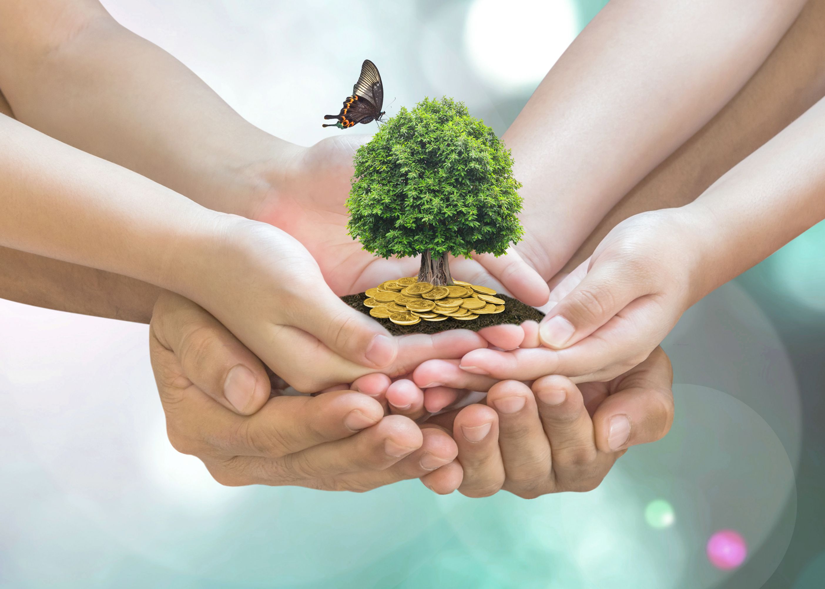 Retirement planning, family financial investment and legacy concept with father parent support children's hands growing tree with wealthy gold coins