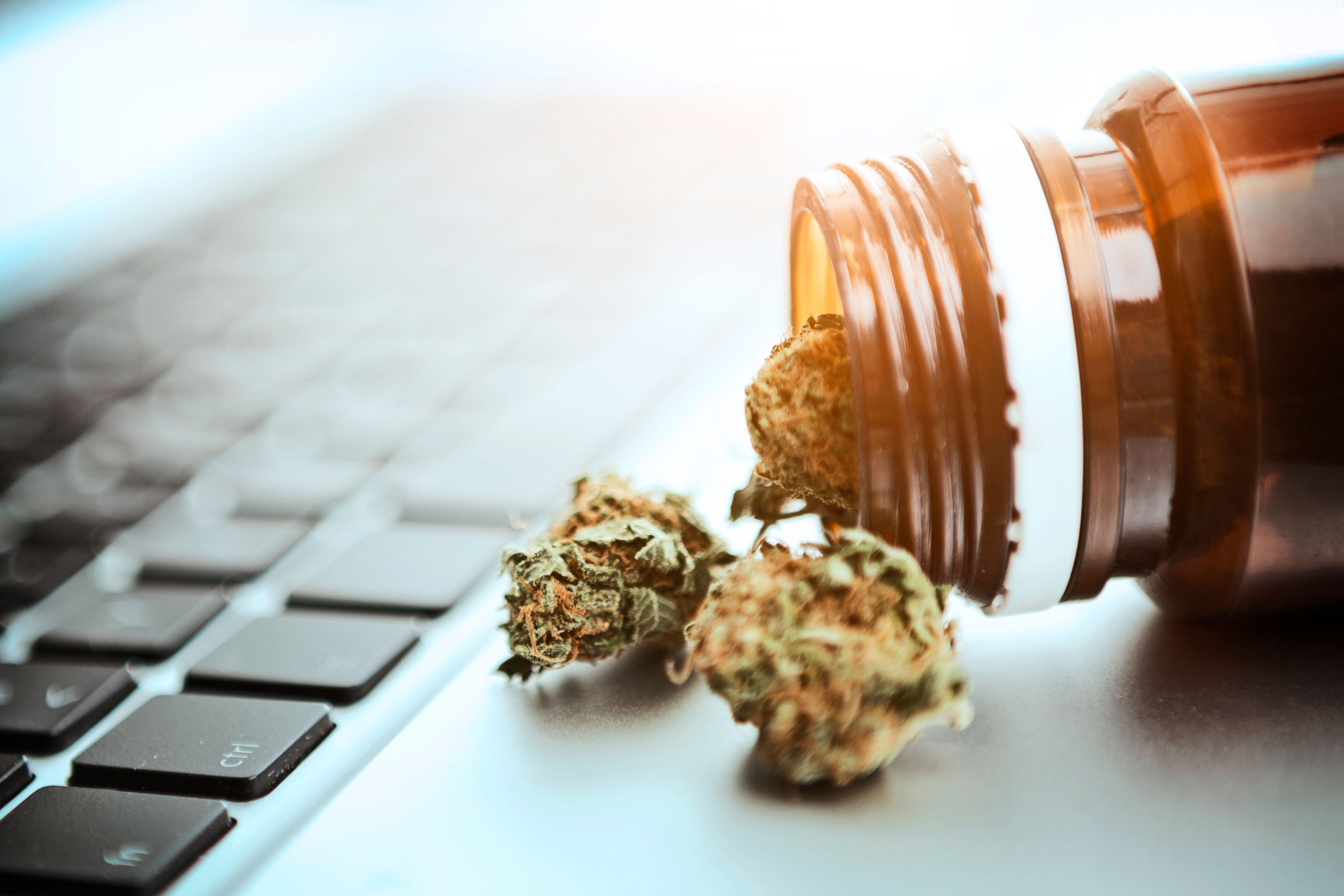 online shopping cannabis