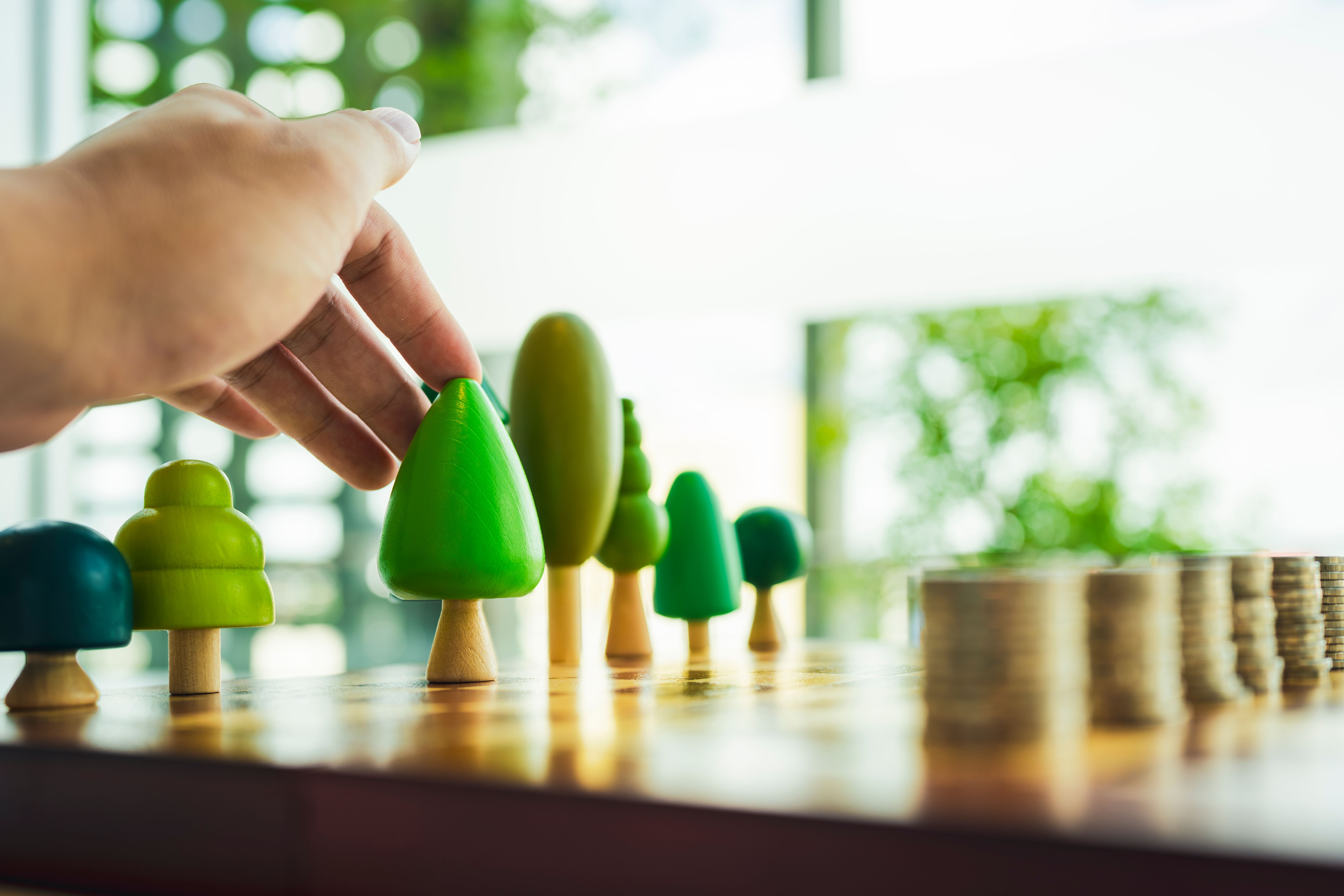 eco-friendly options