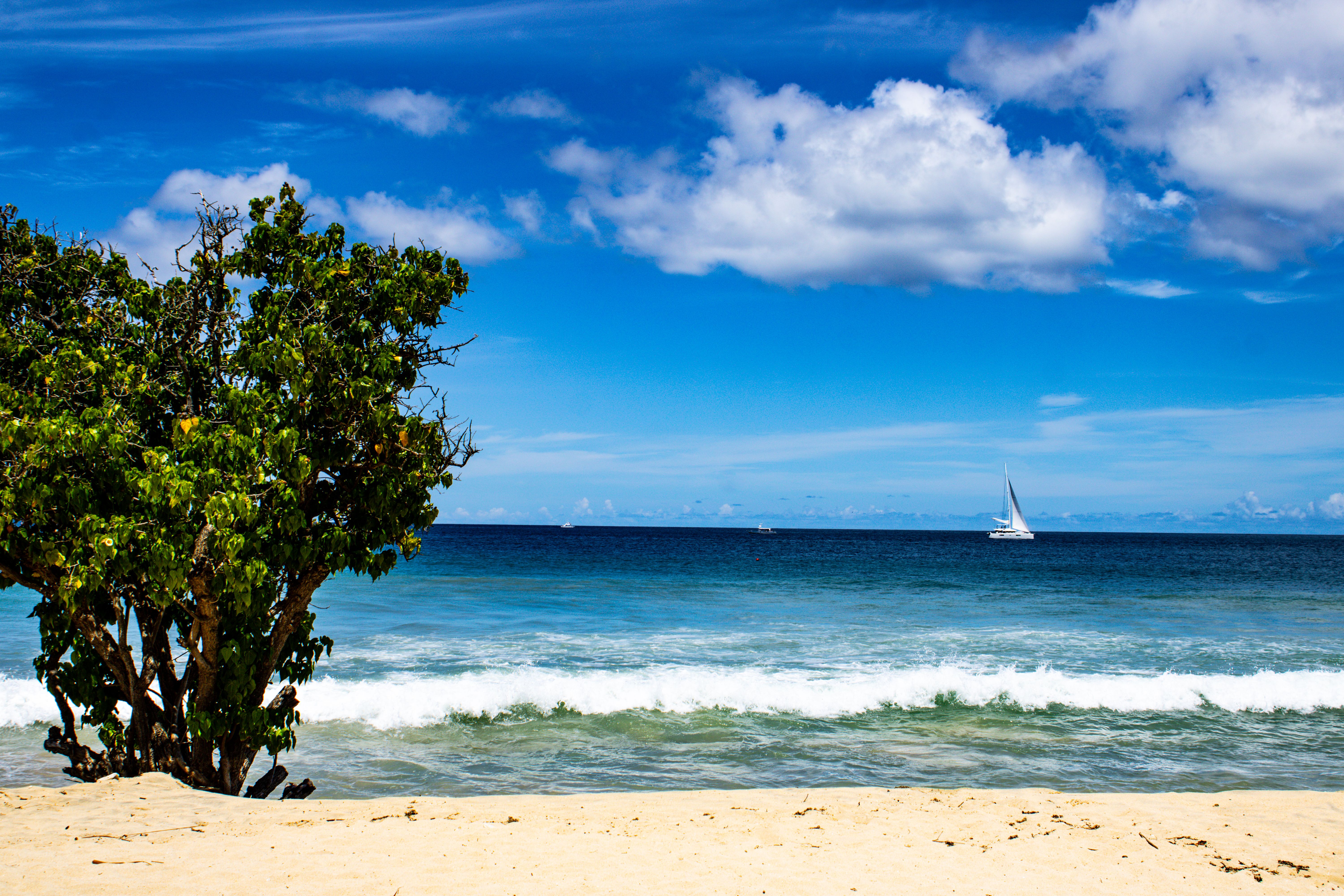 caribbean sailing adventure