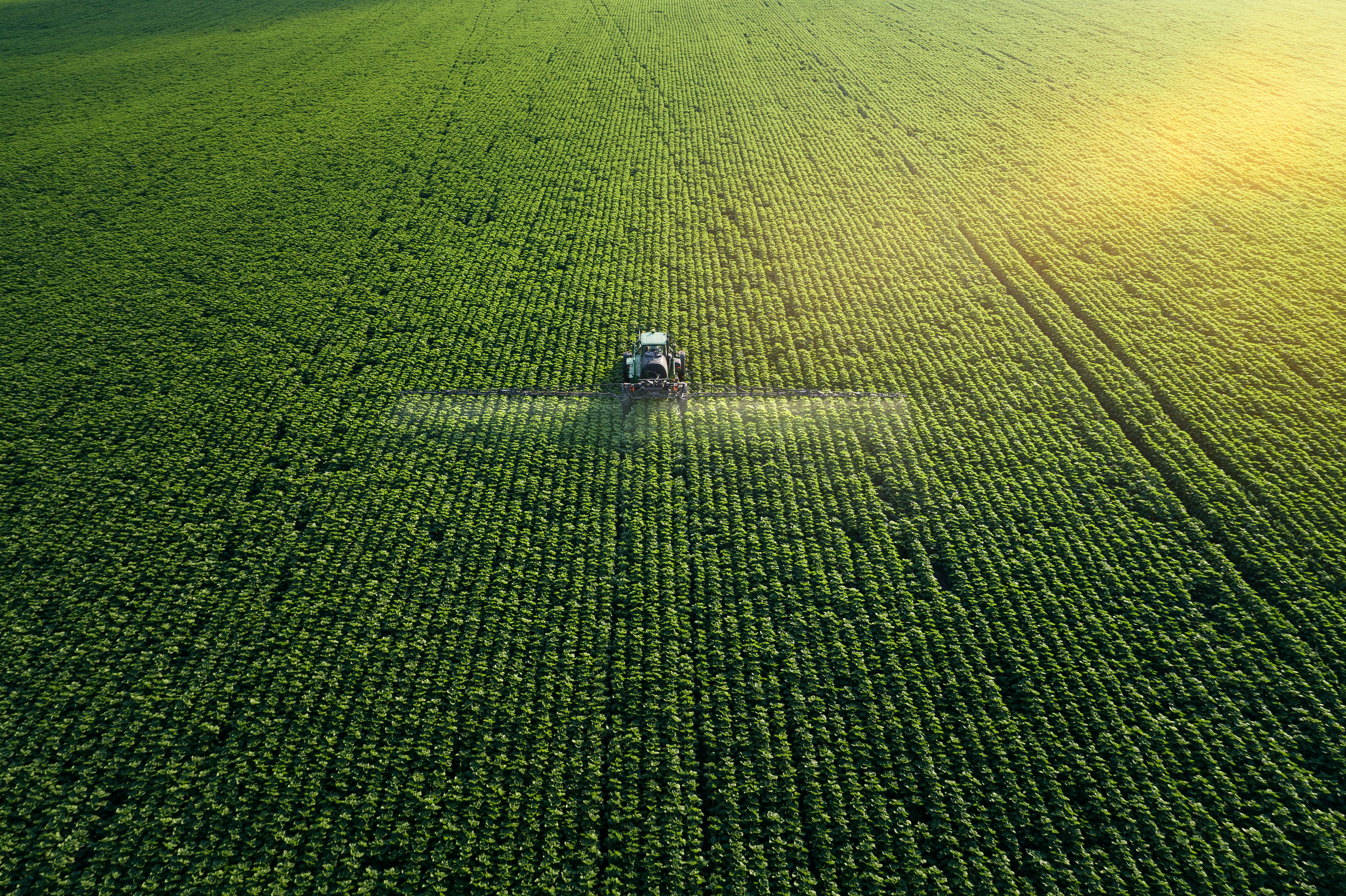 small business drone