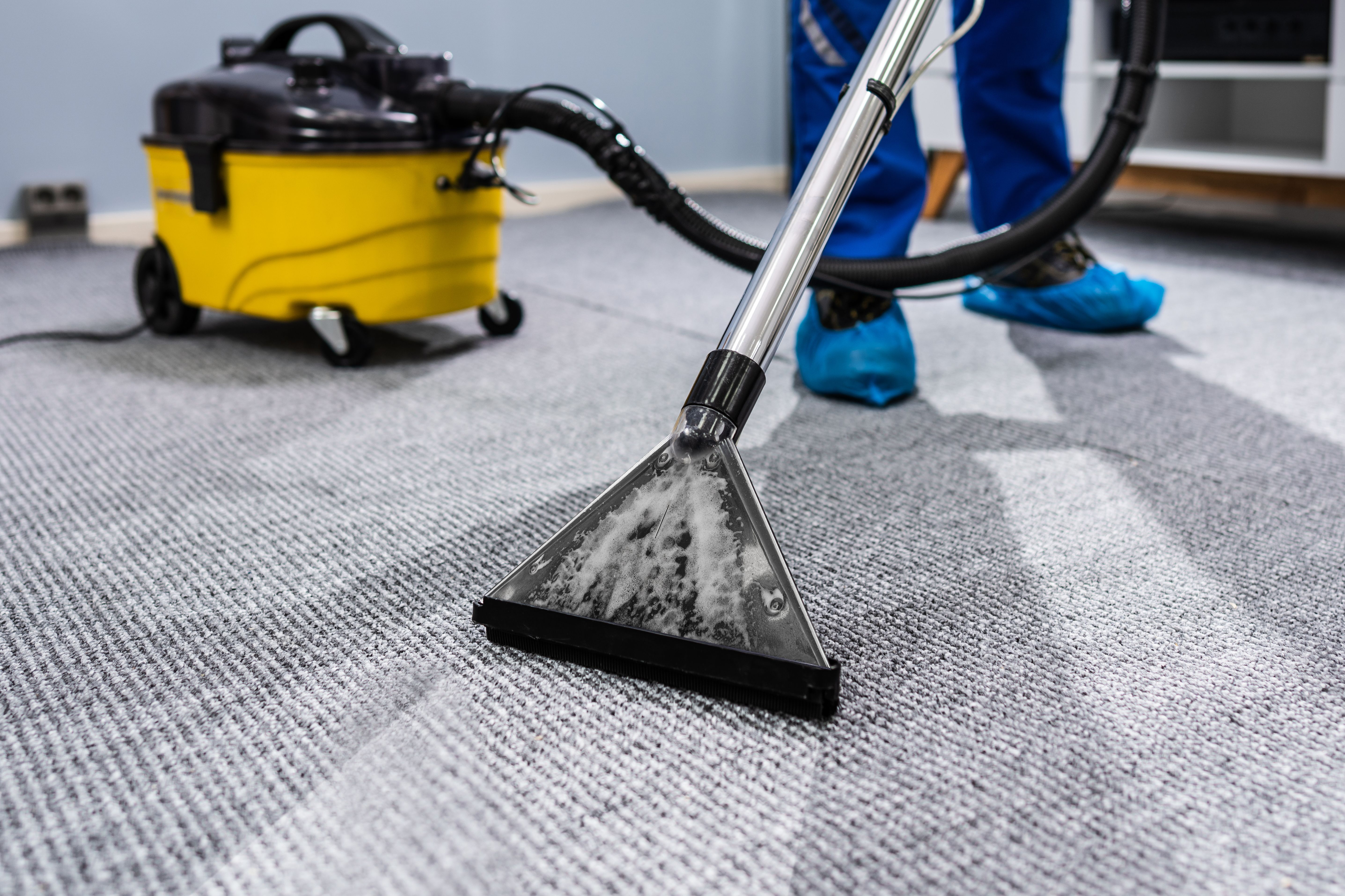 carpet cleaning equipment