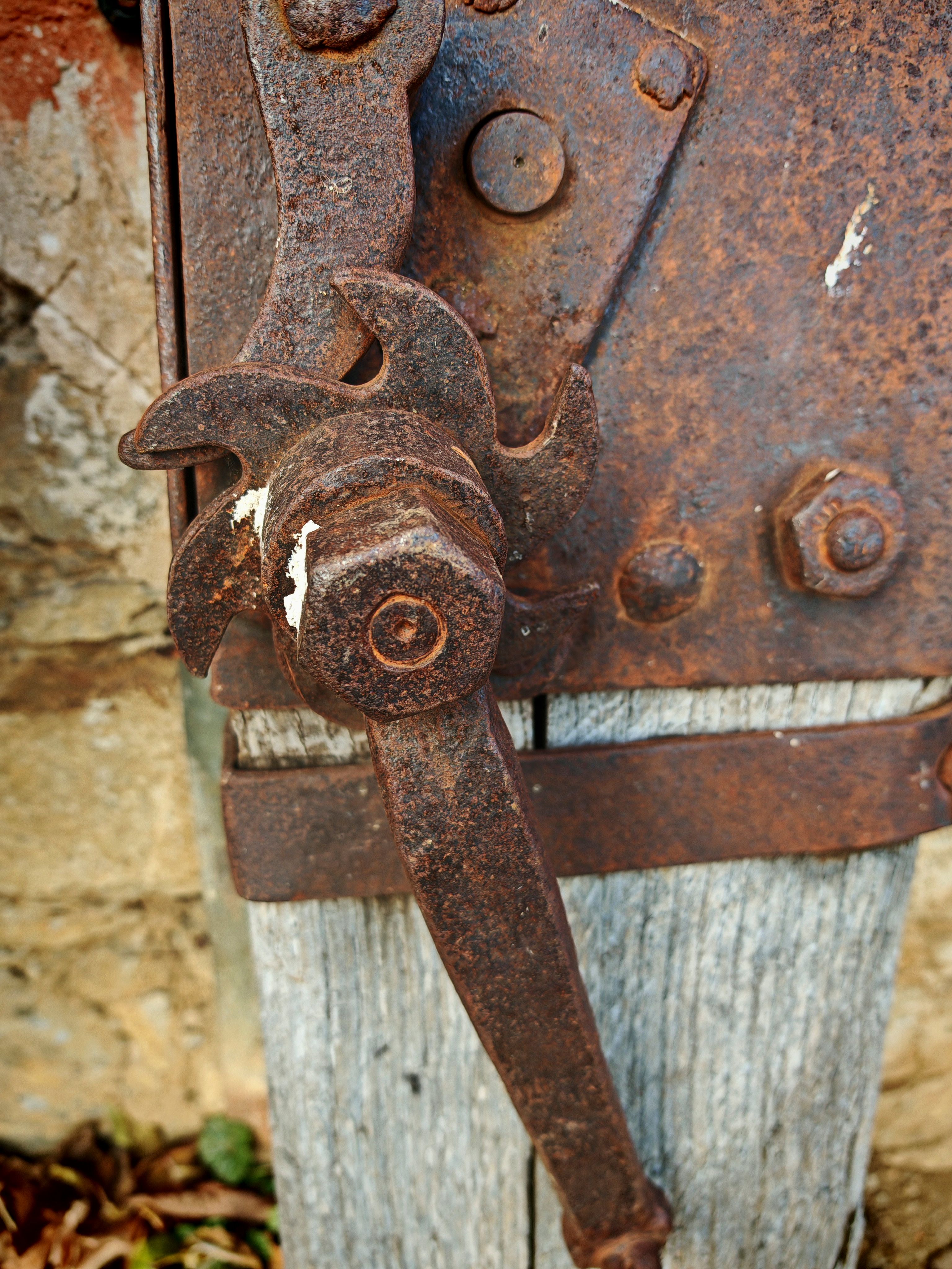 interdisciplinary education