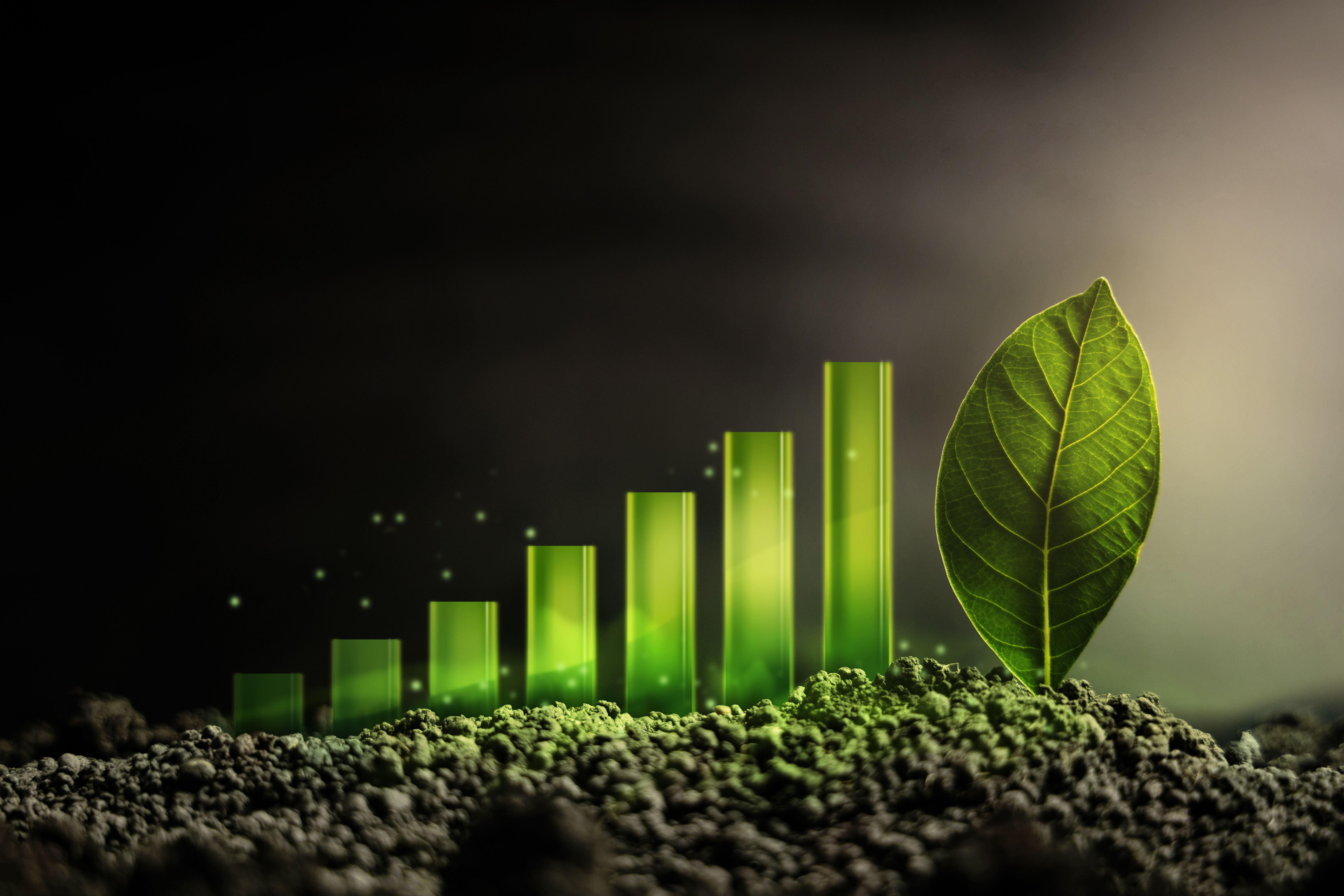 sustainable marketing