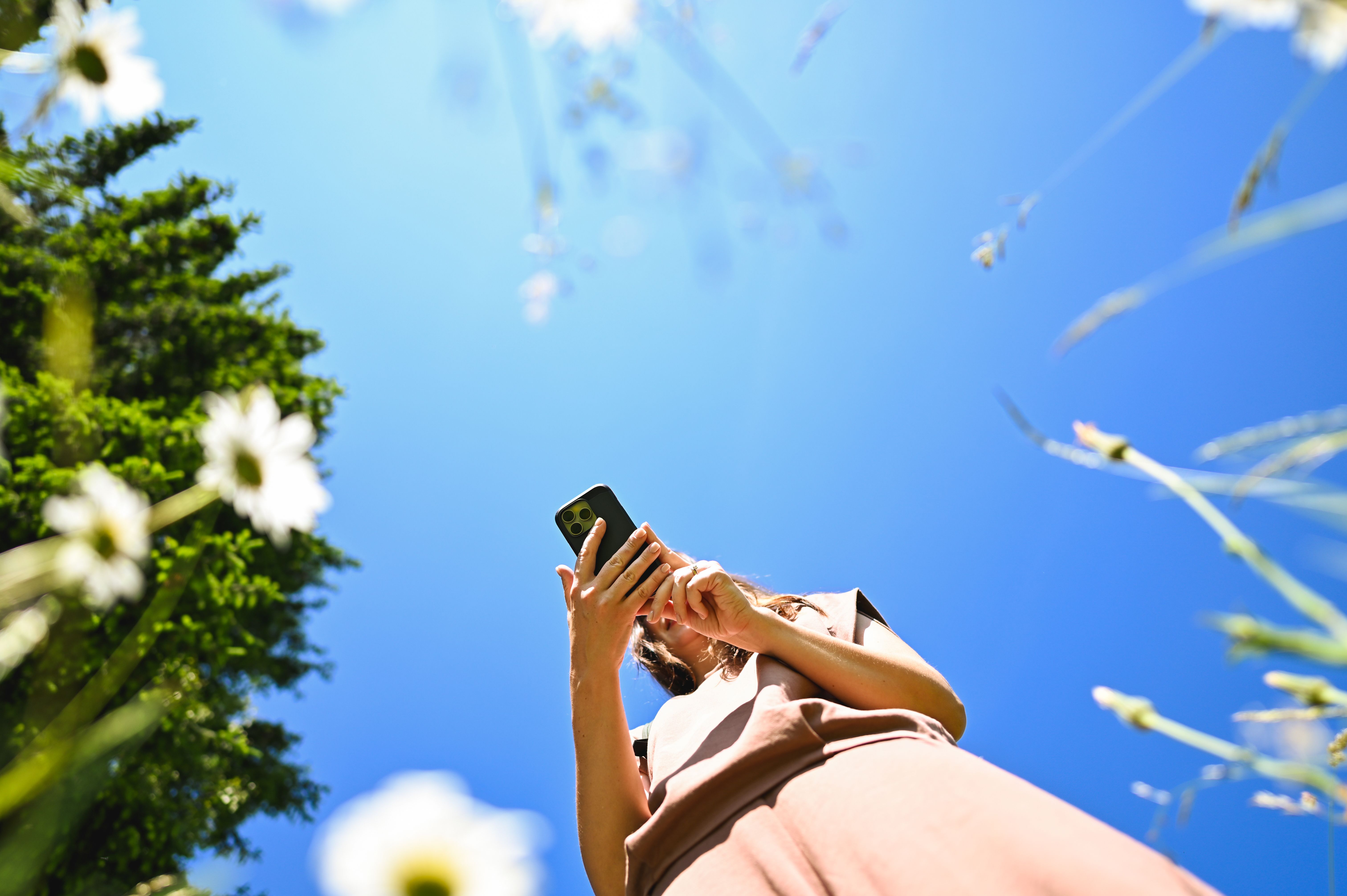 seasonal content creation