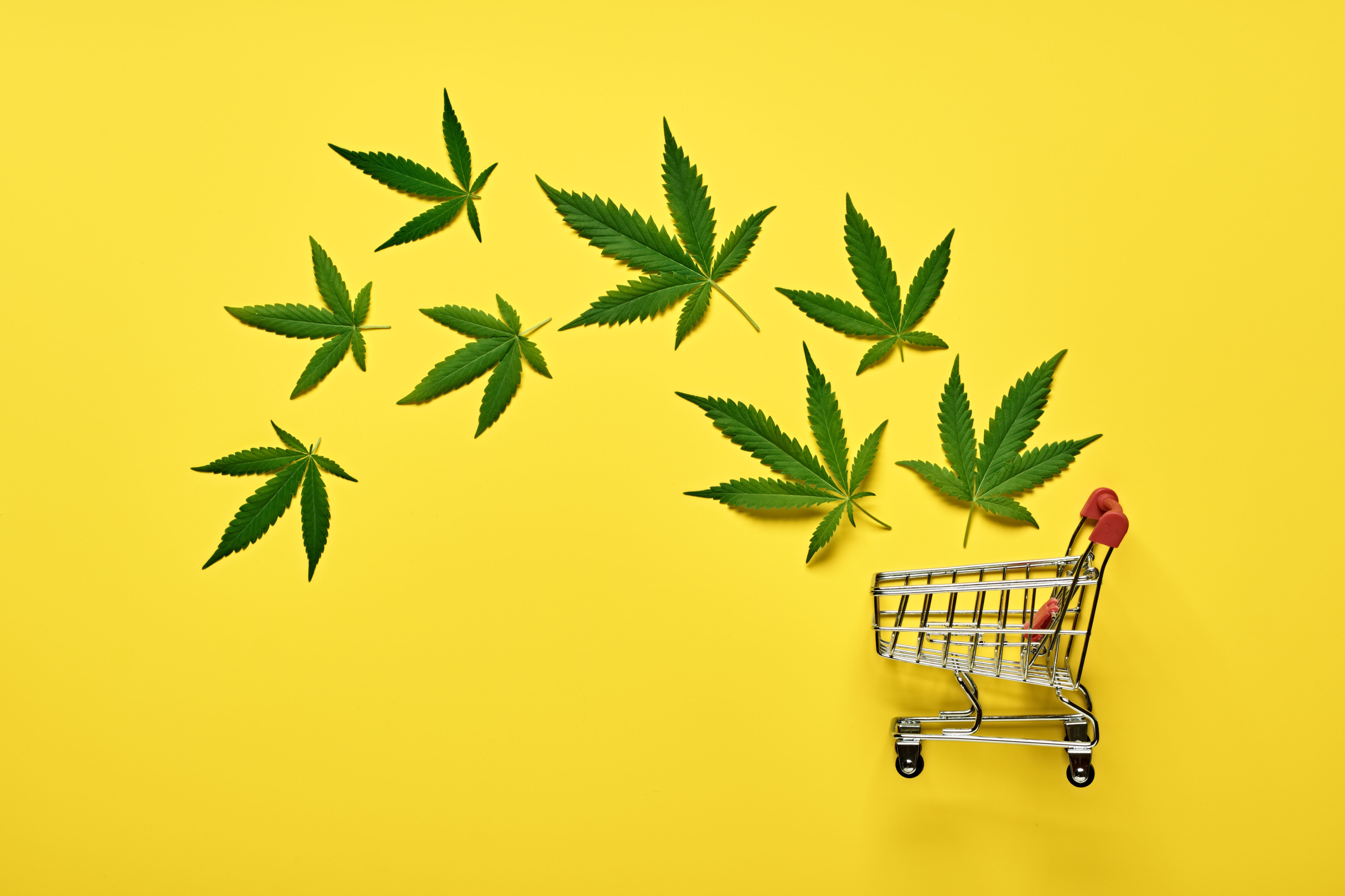 cannabis retail