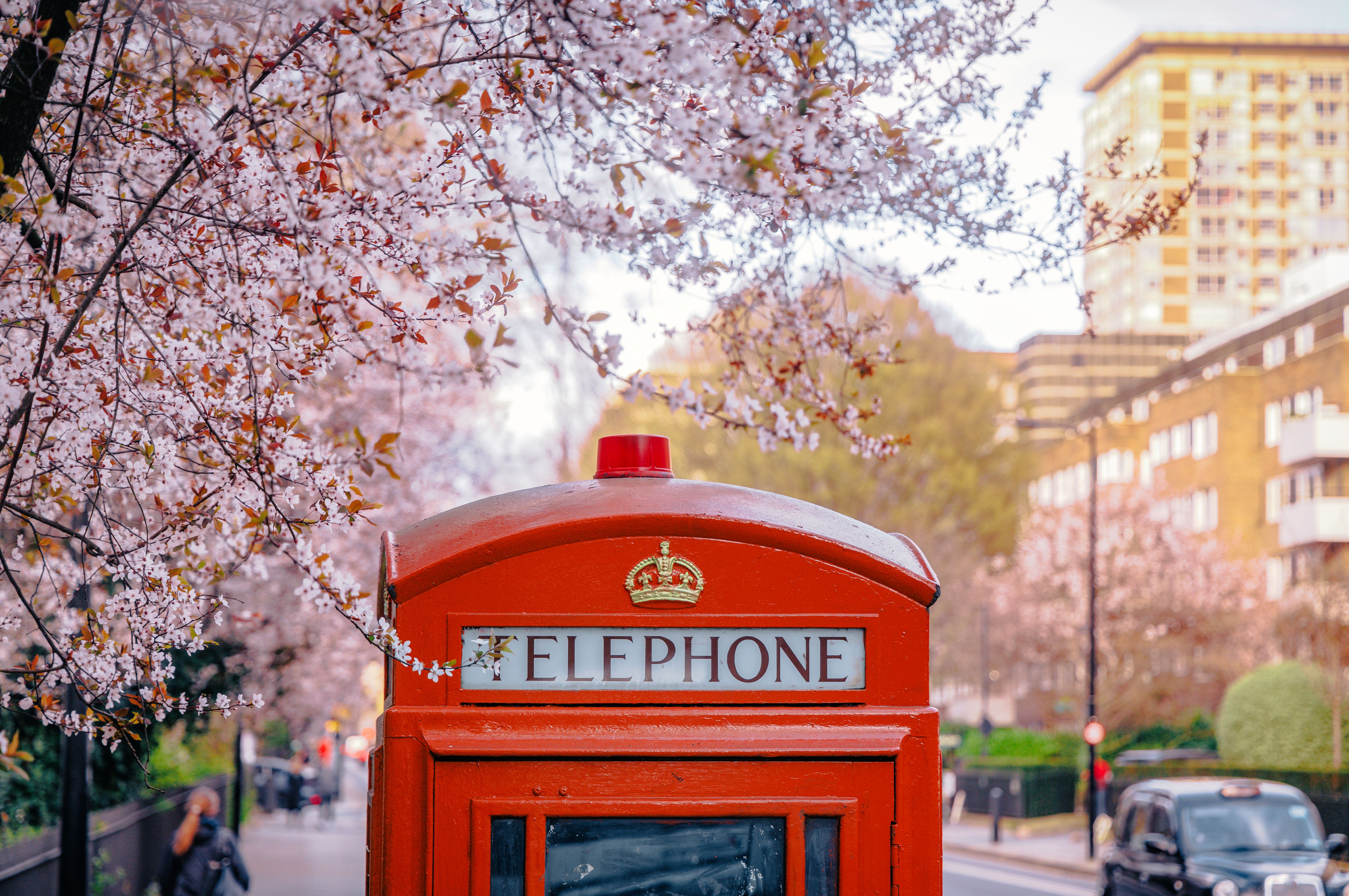 London spring flowers