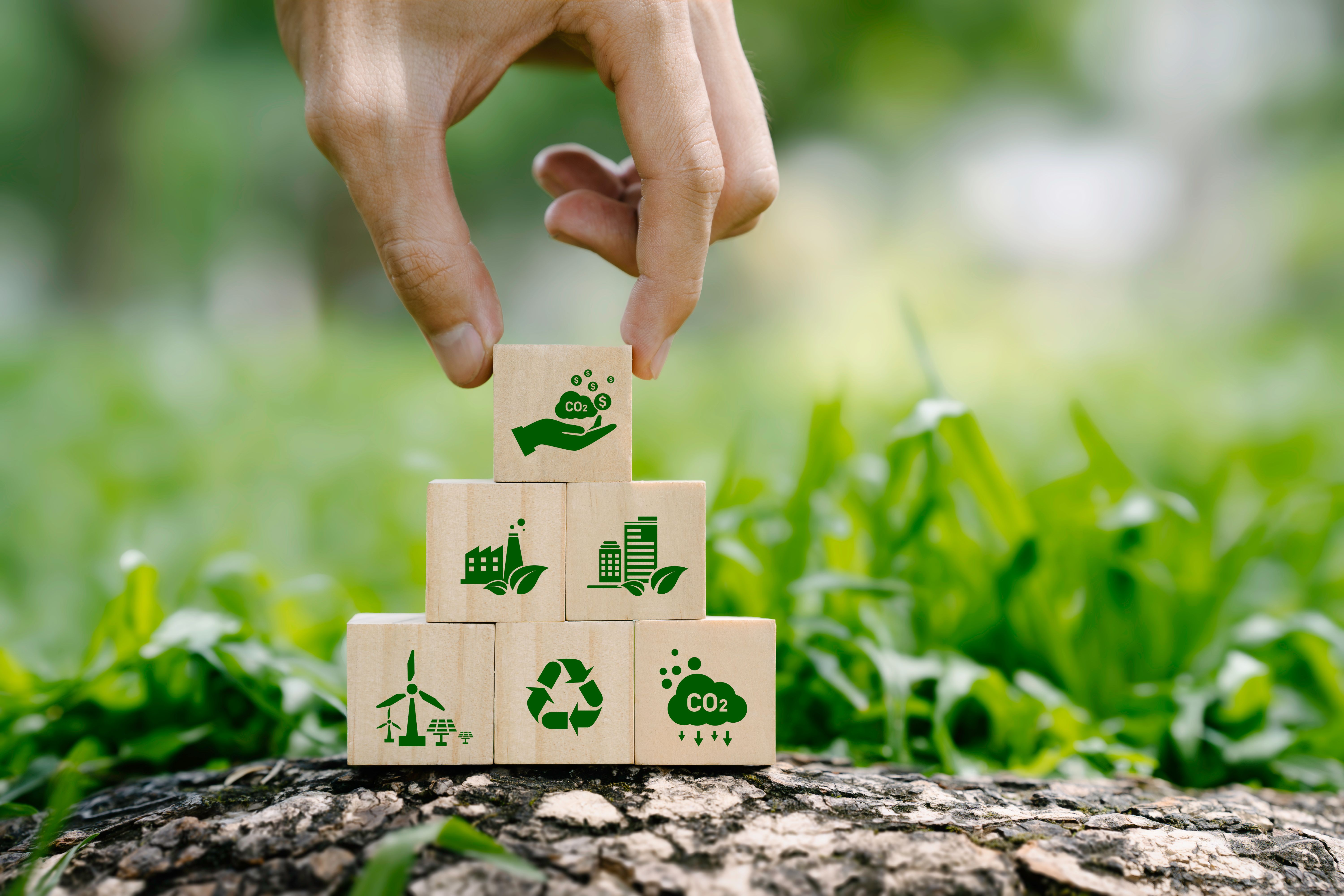 sustainable project management