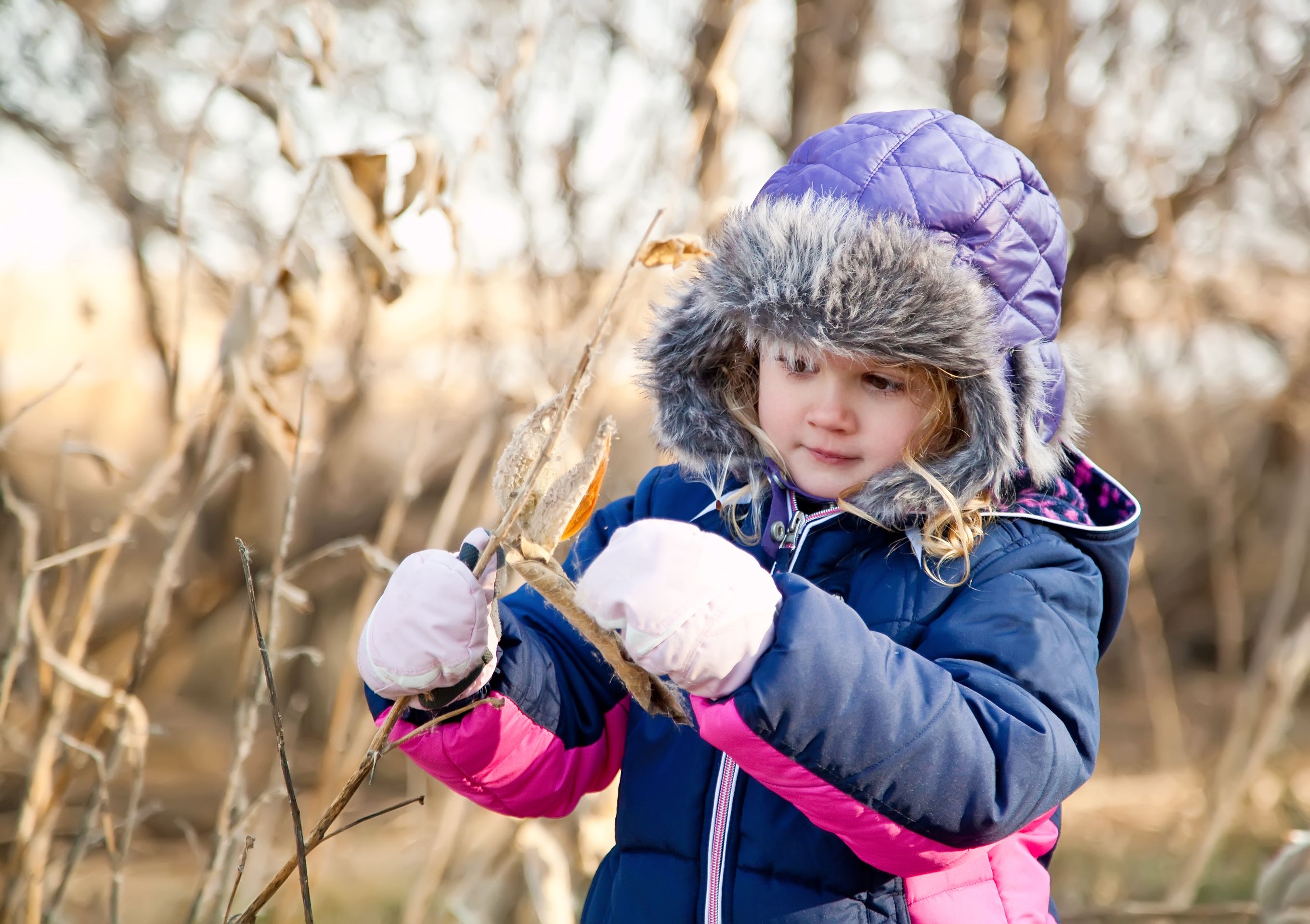 Girl Looking at Milkweed