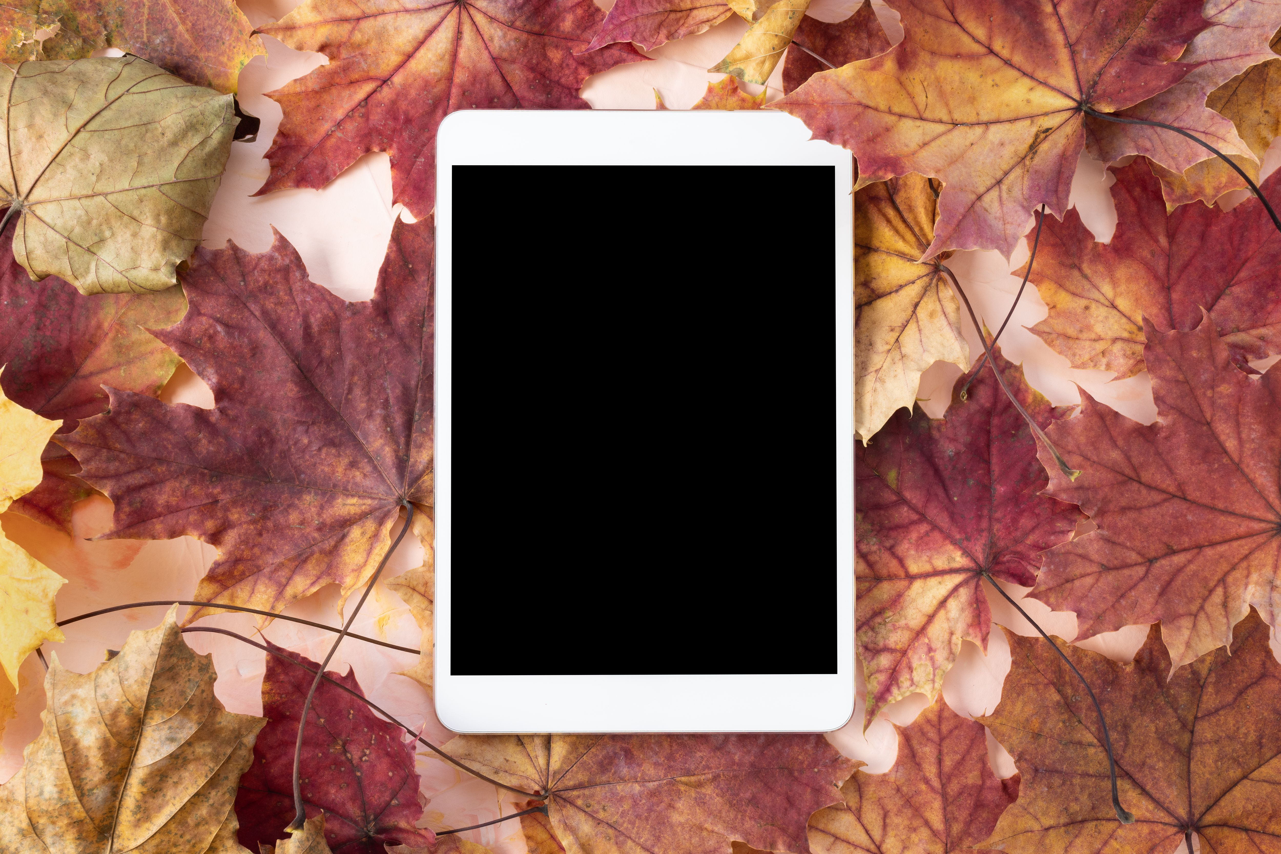 autumn leaves tablet