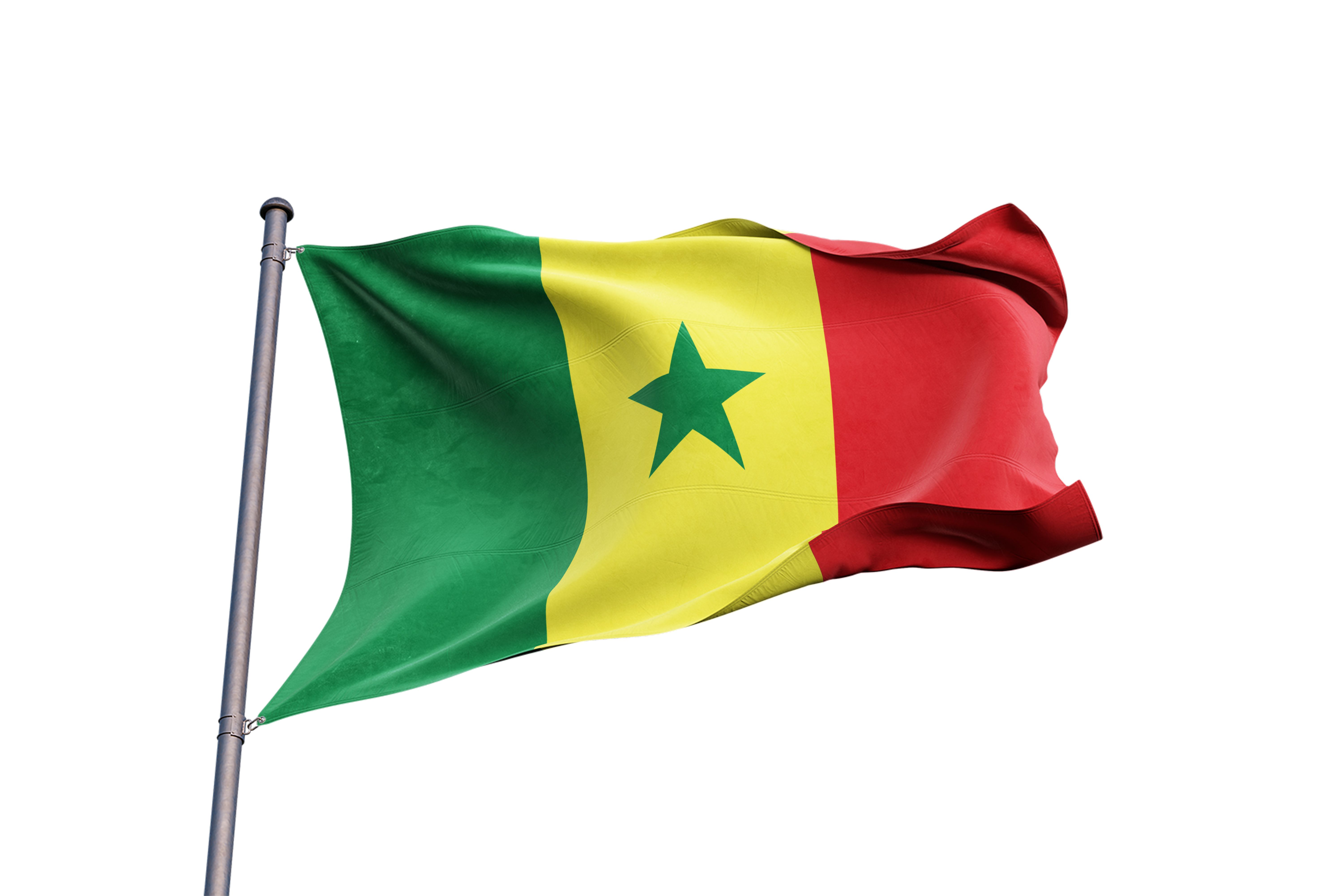 Senegal flag waving on white background, close up, isolated - 3D Illustration