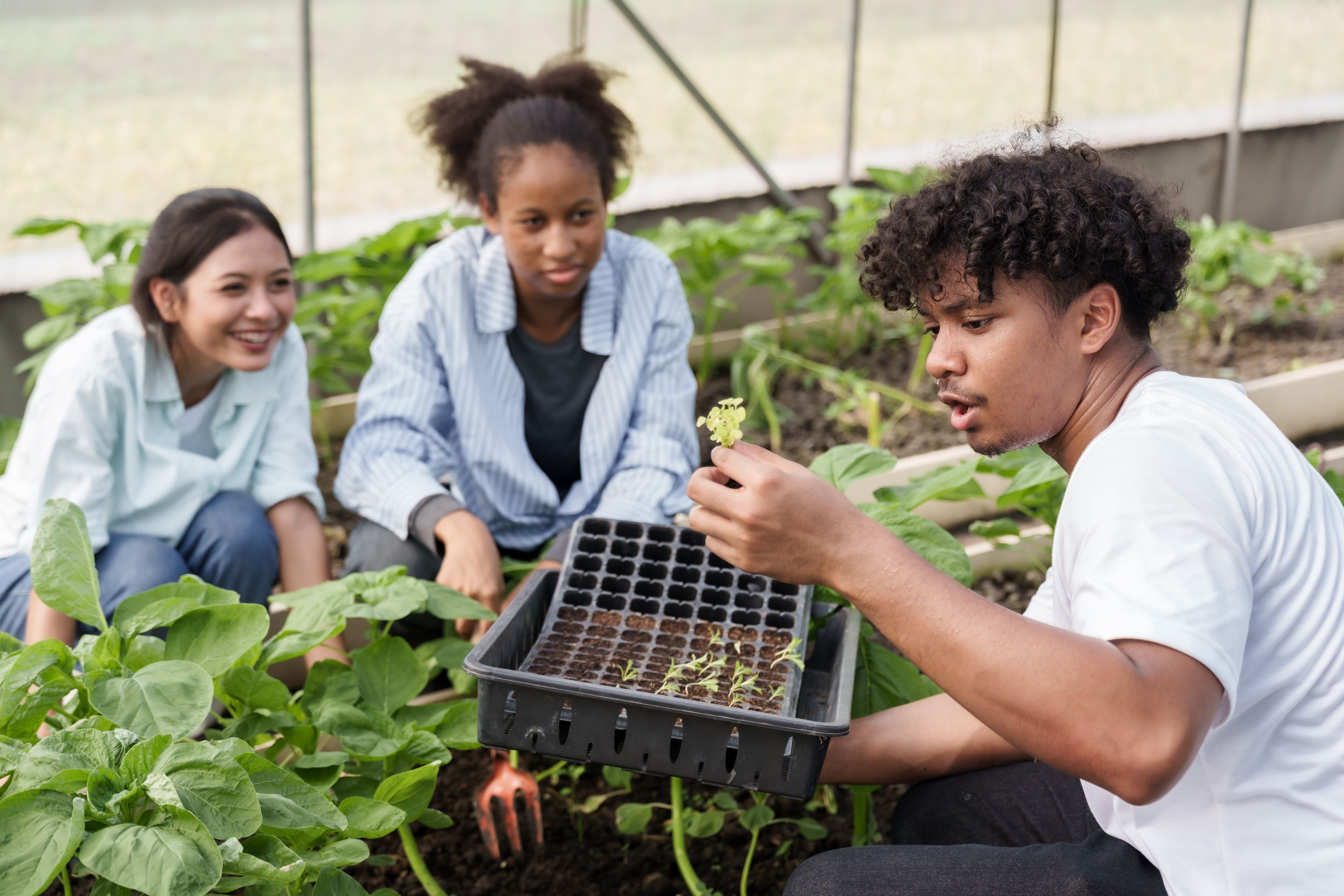students teamwork gardening