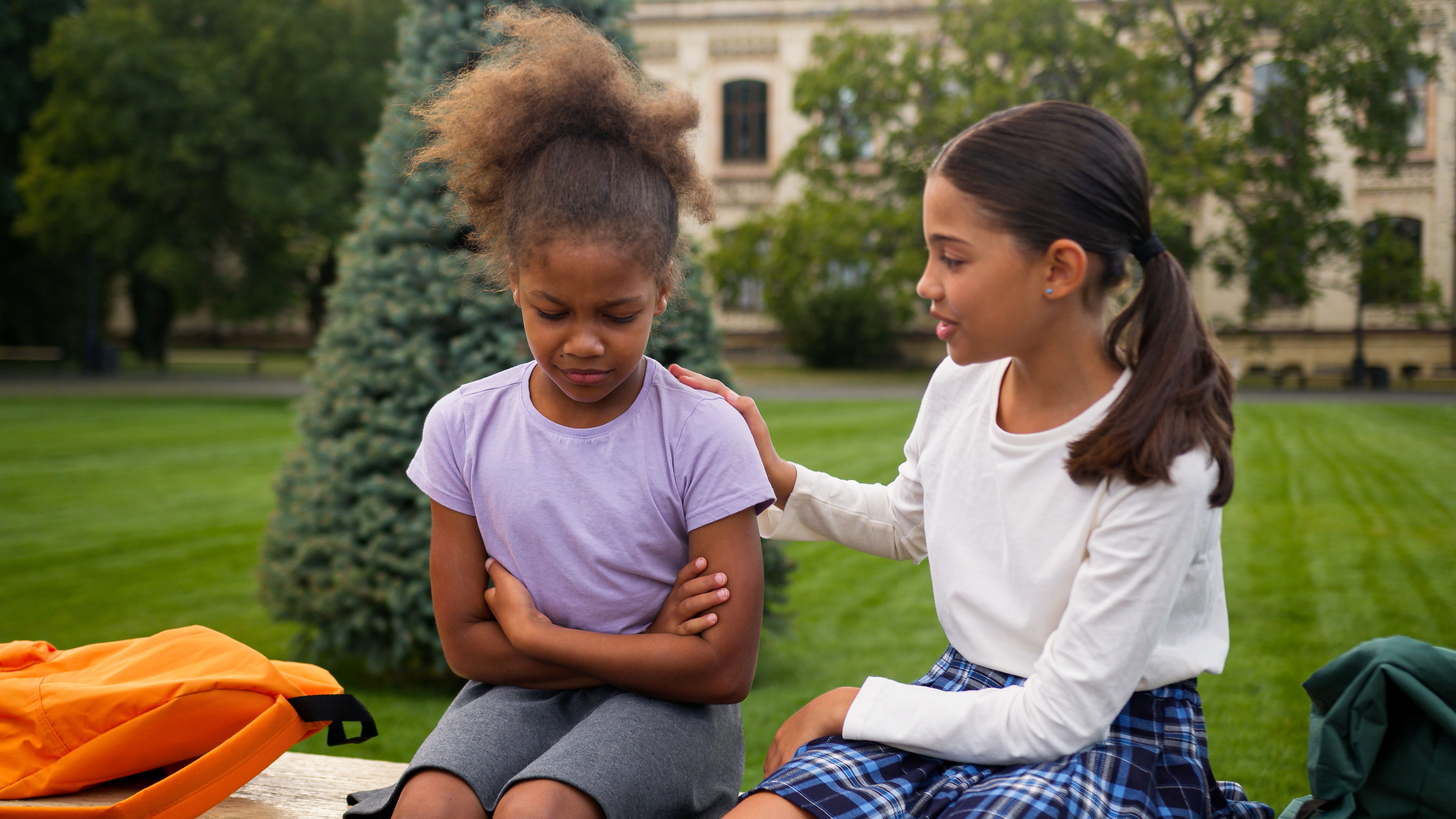 social emotional learning