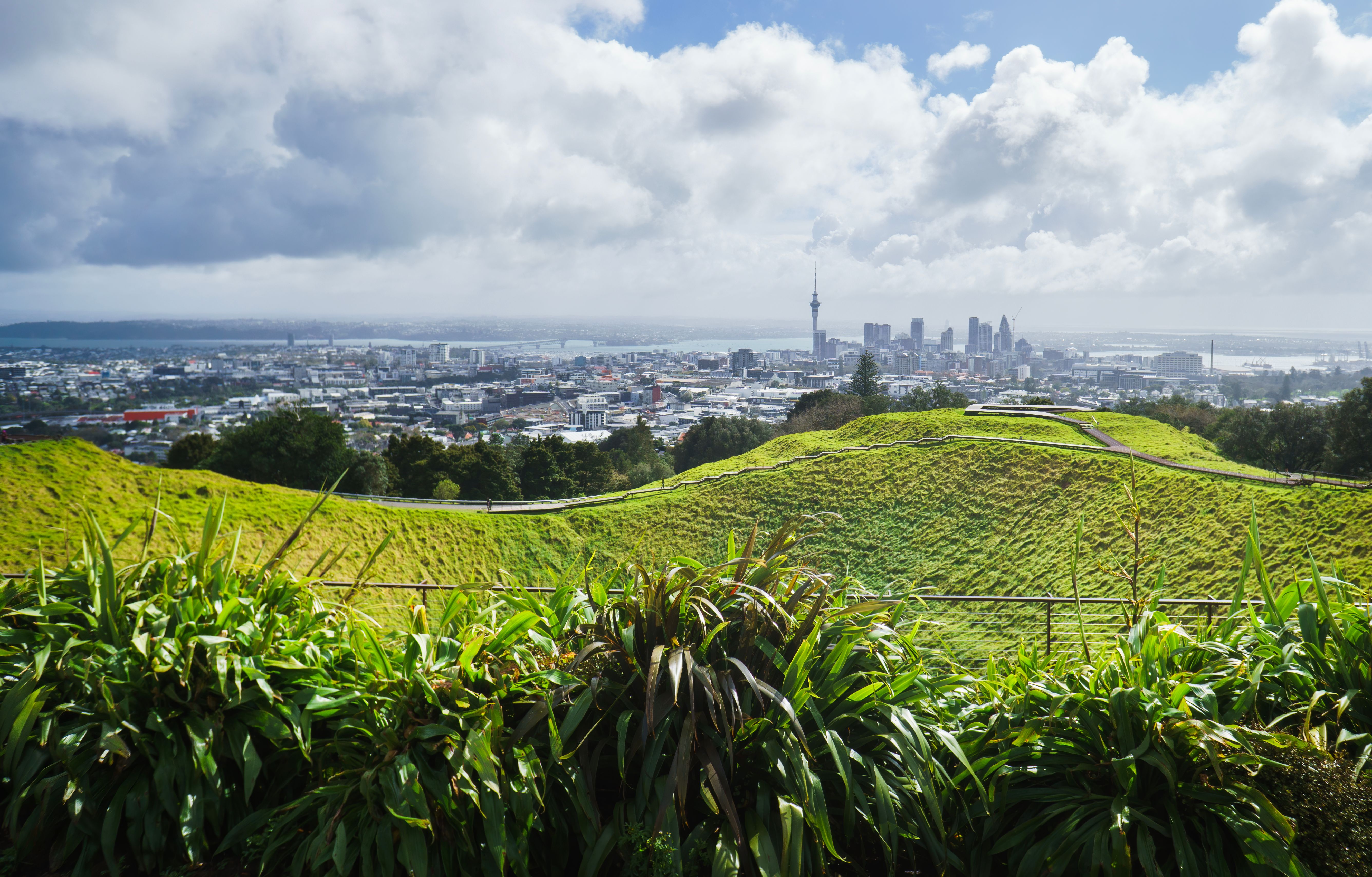 auckland cityscape
