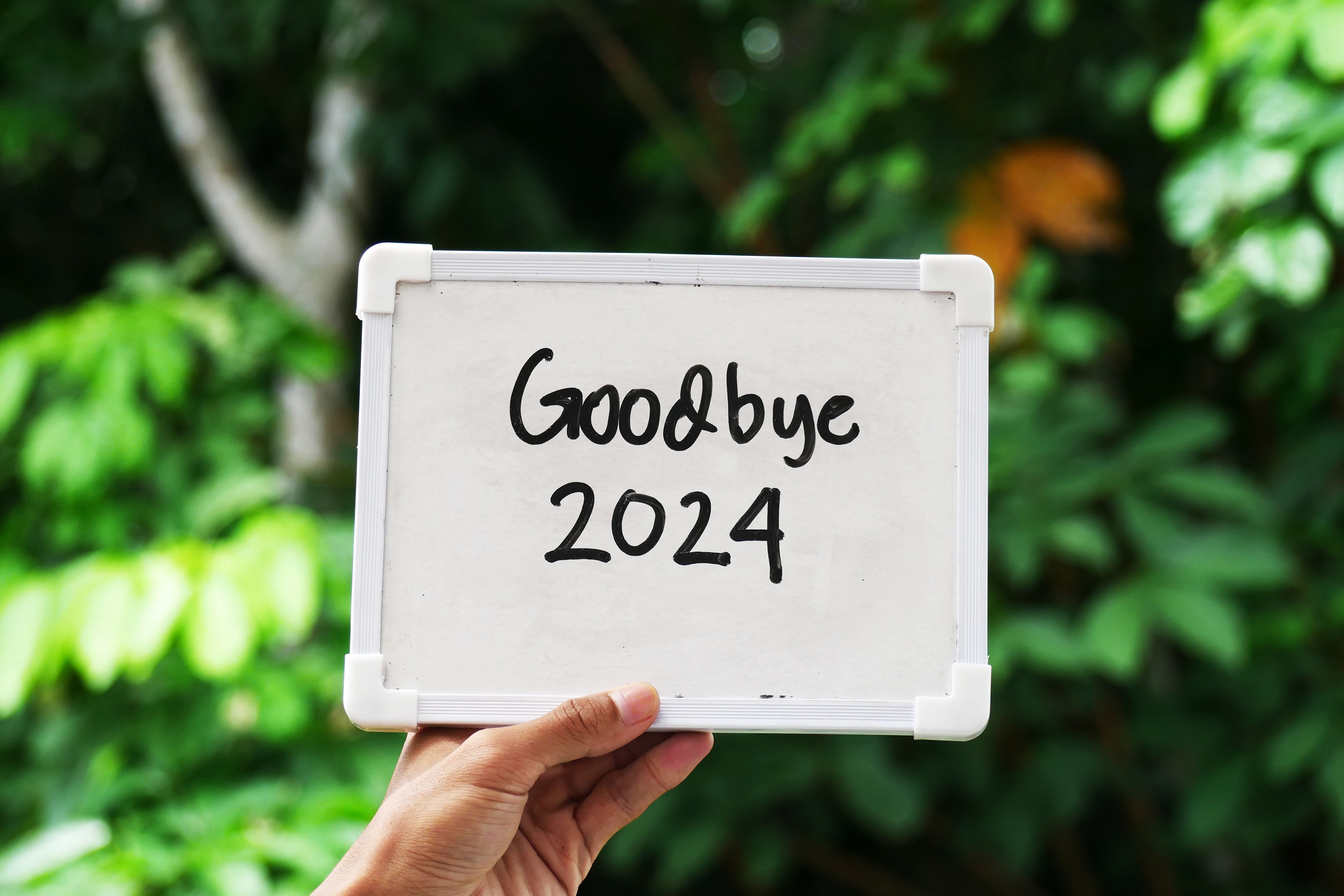 a hand holding a whiteboard with text Goodbye 2024.