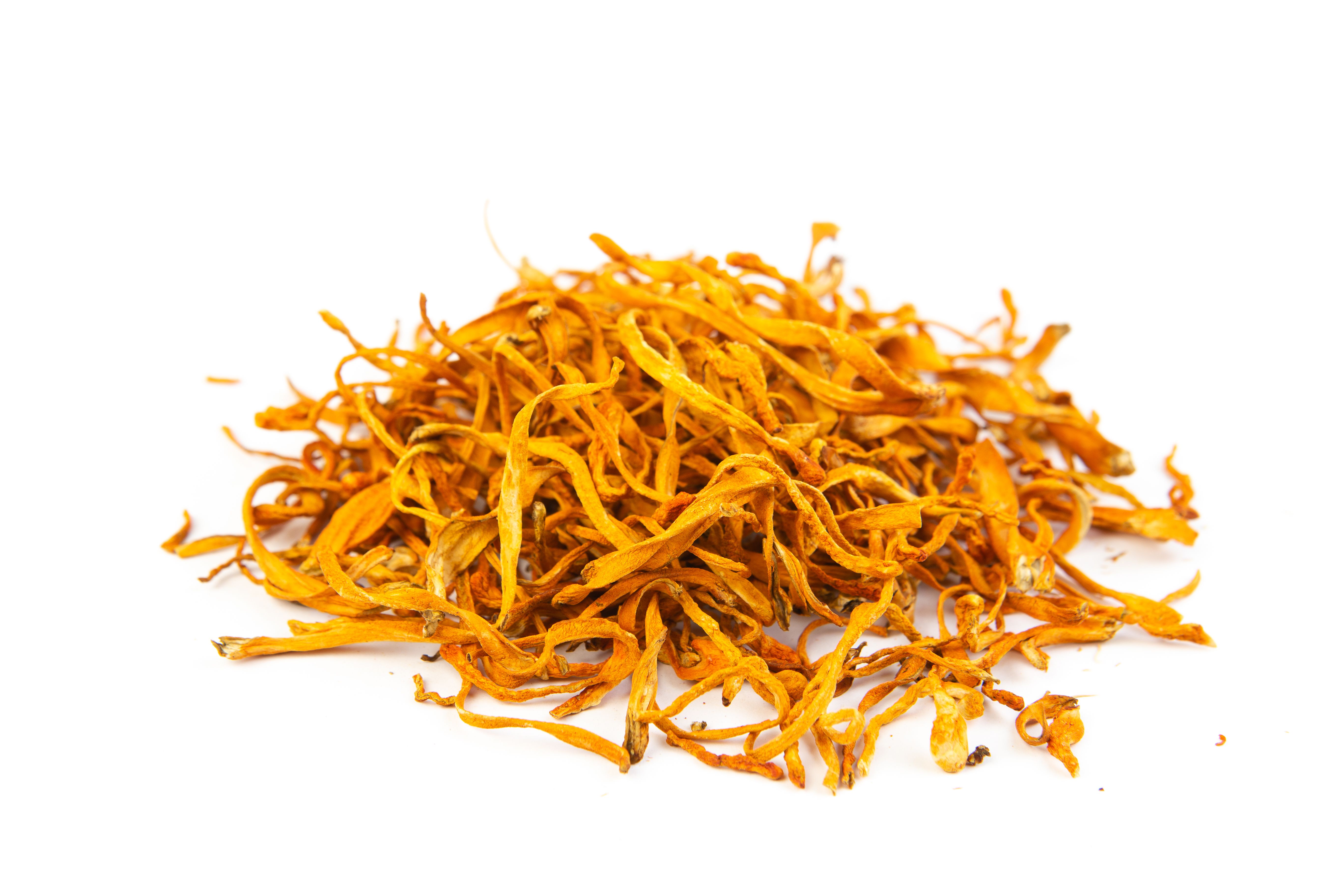 cordyceps mushroom