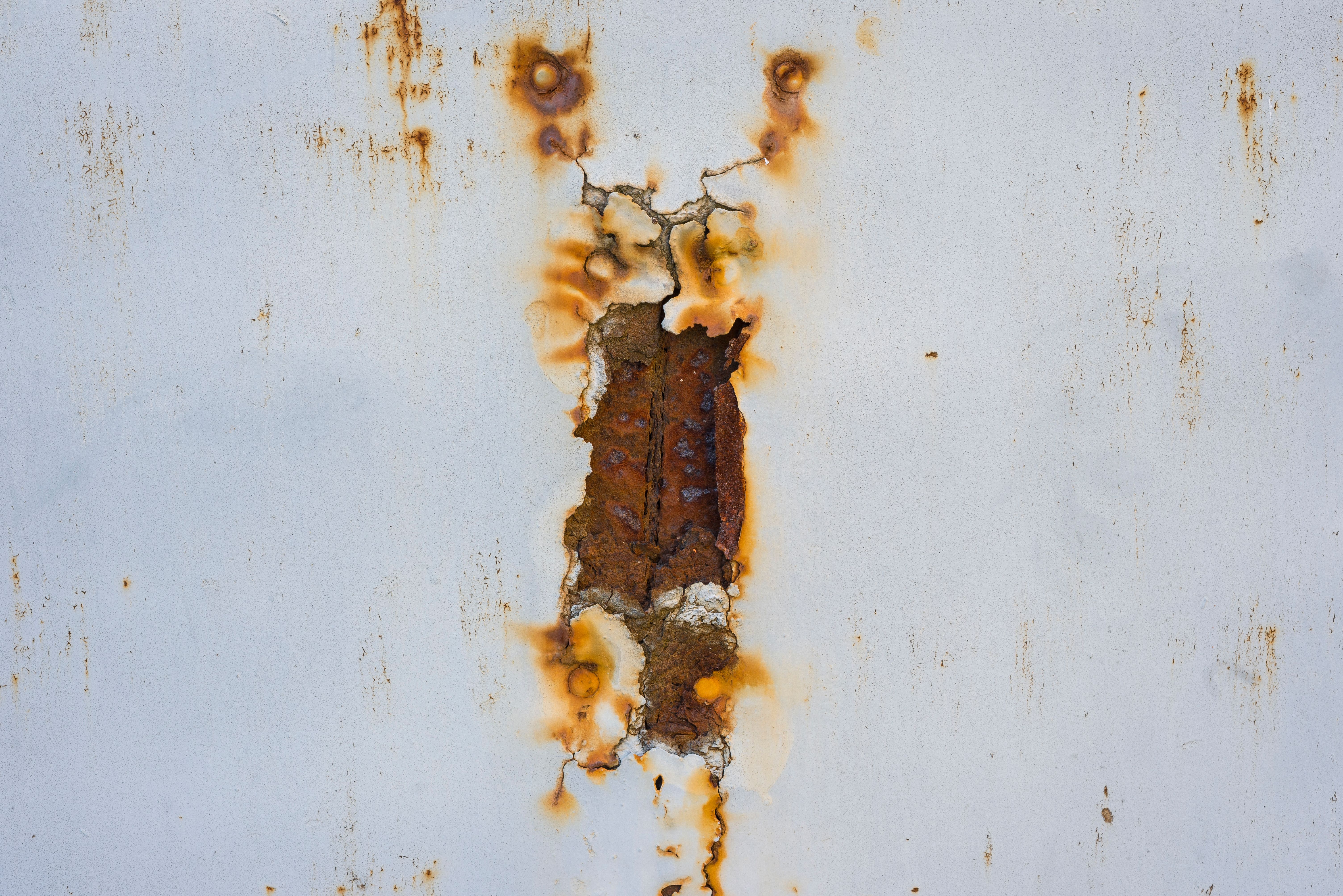 Tanzende Gäste Hochzeit