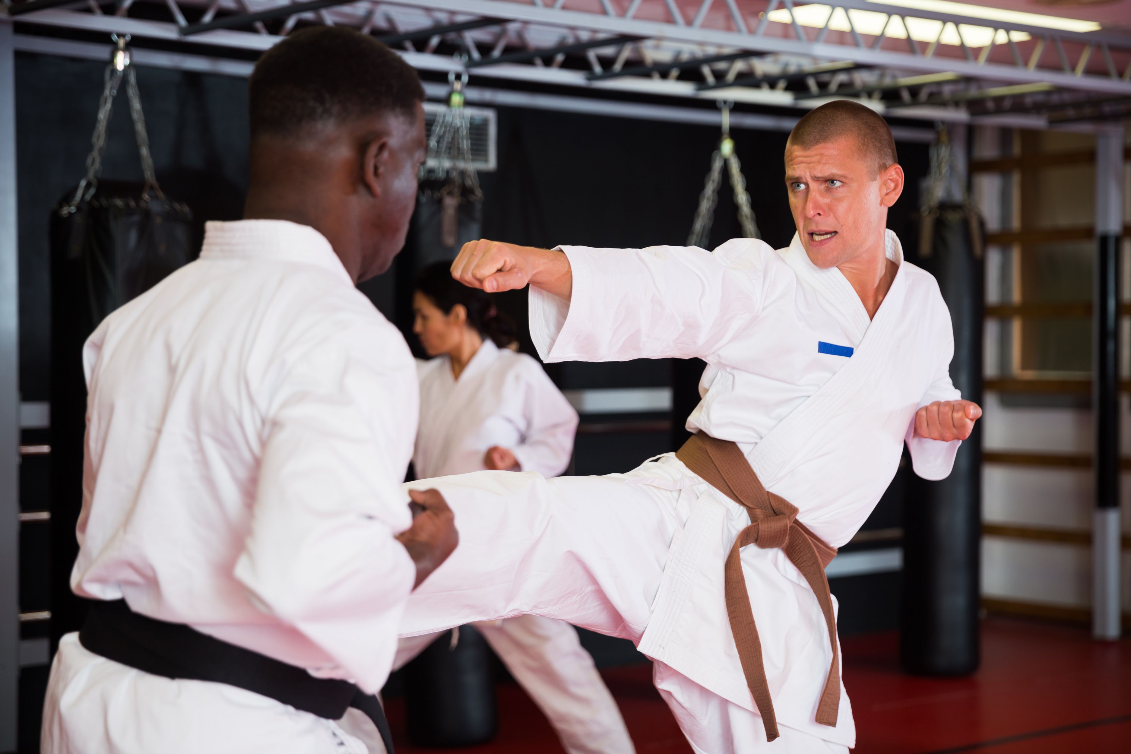 diverse martial arts