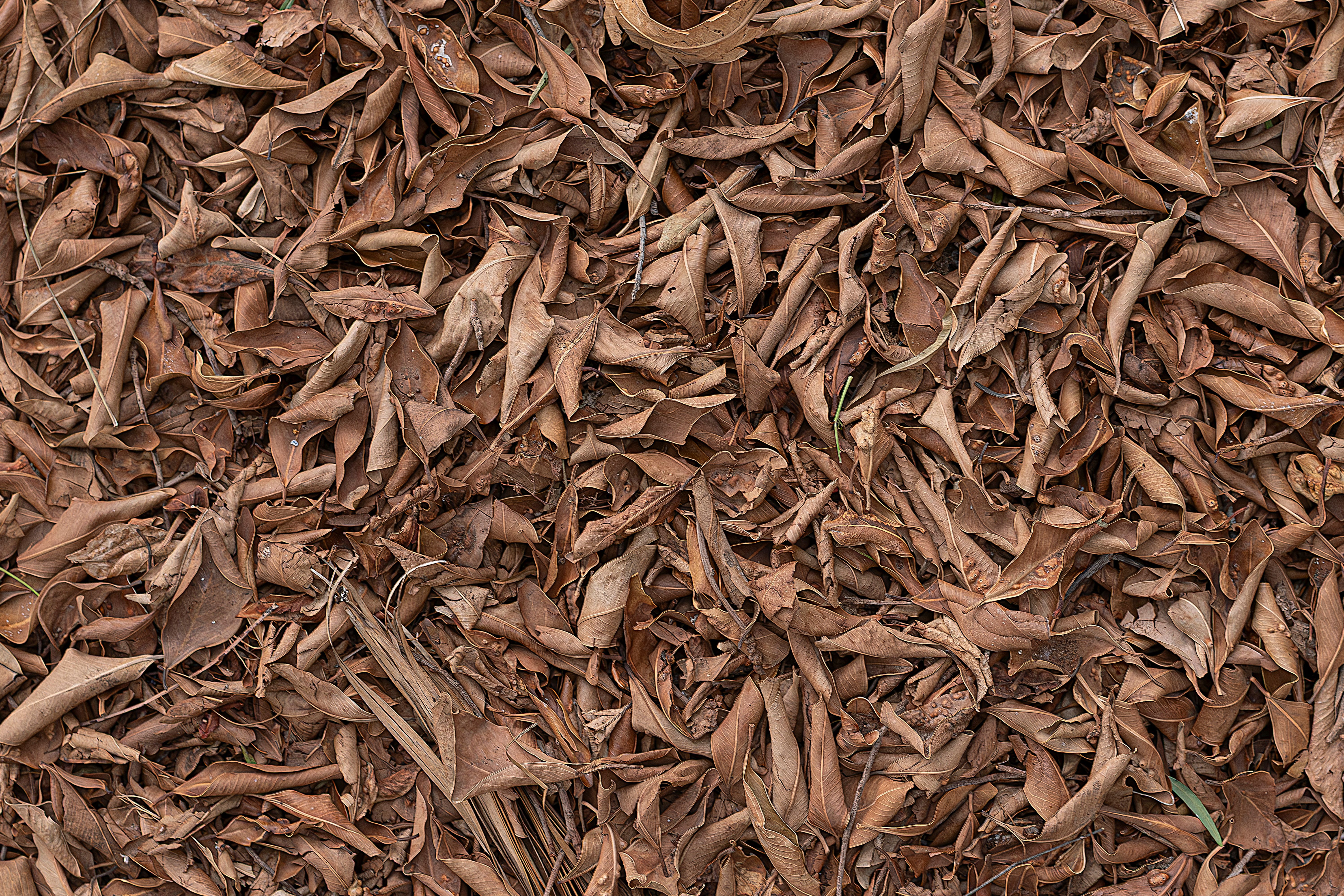 layered textures fall