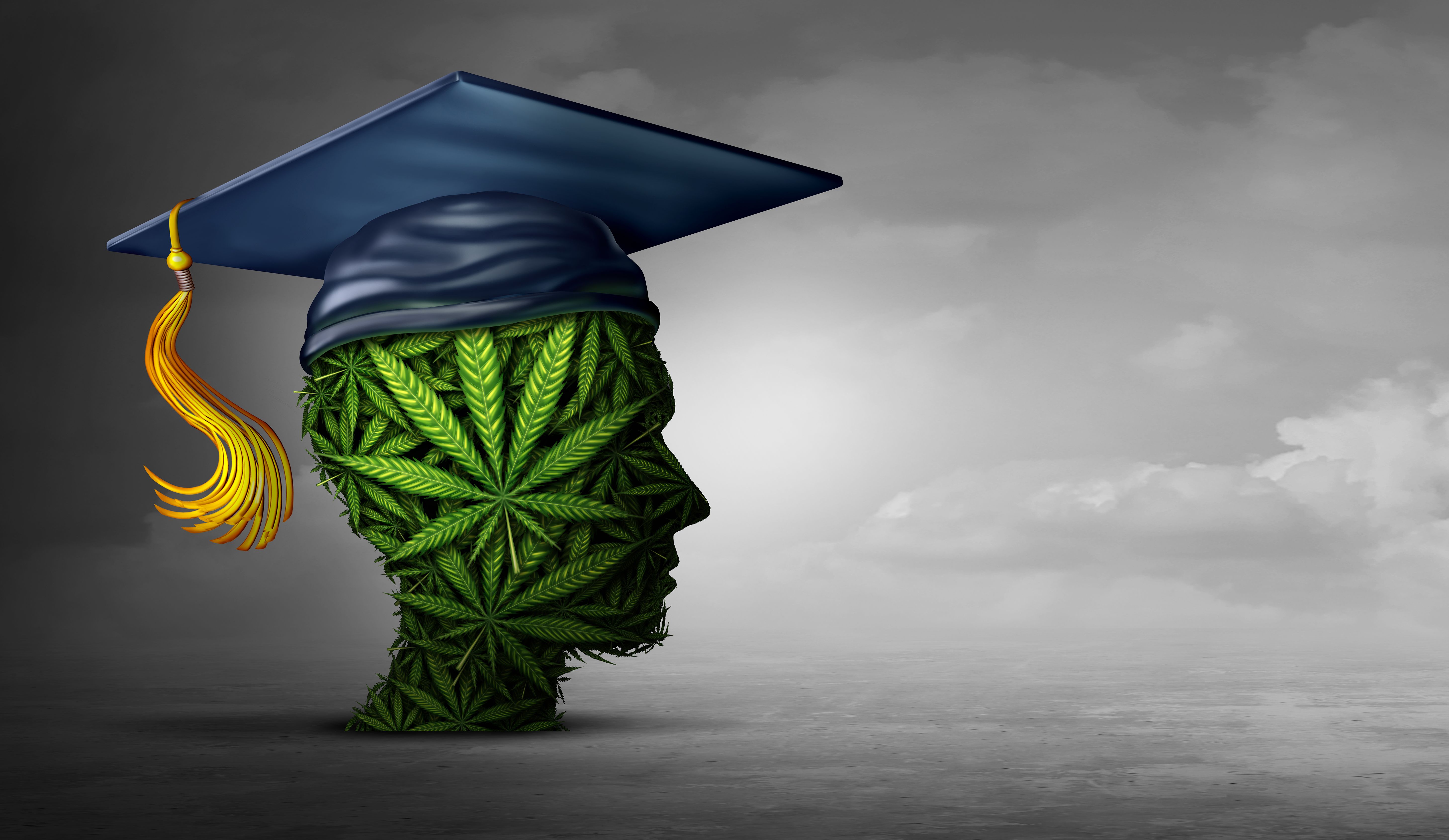 cannabis education workshop