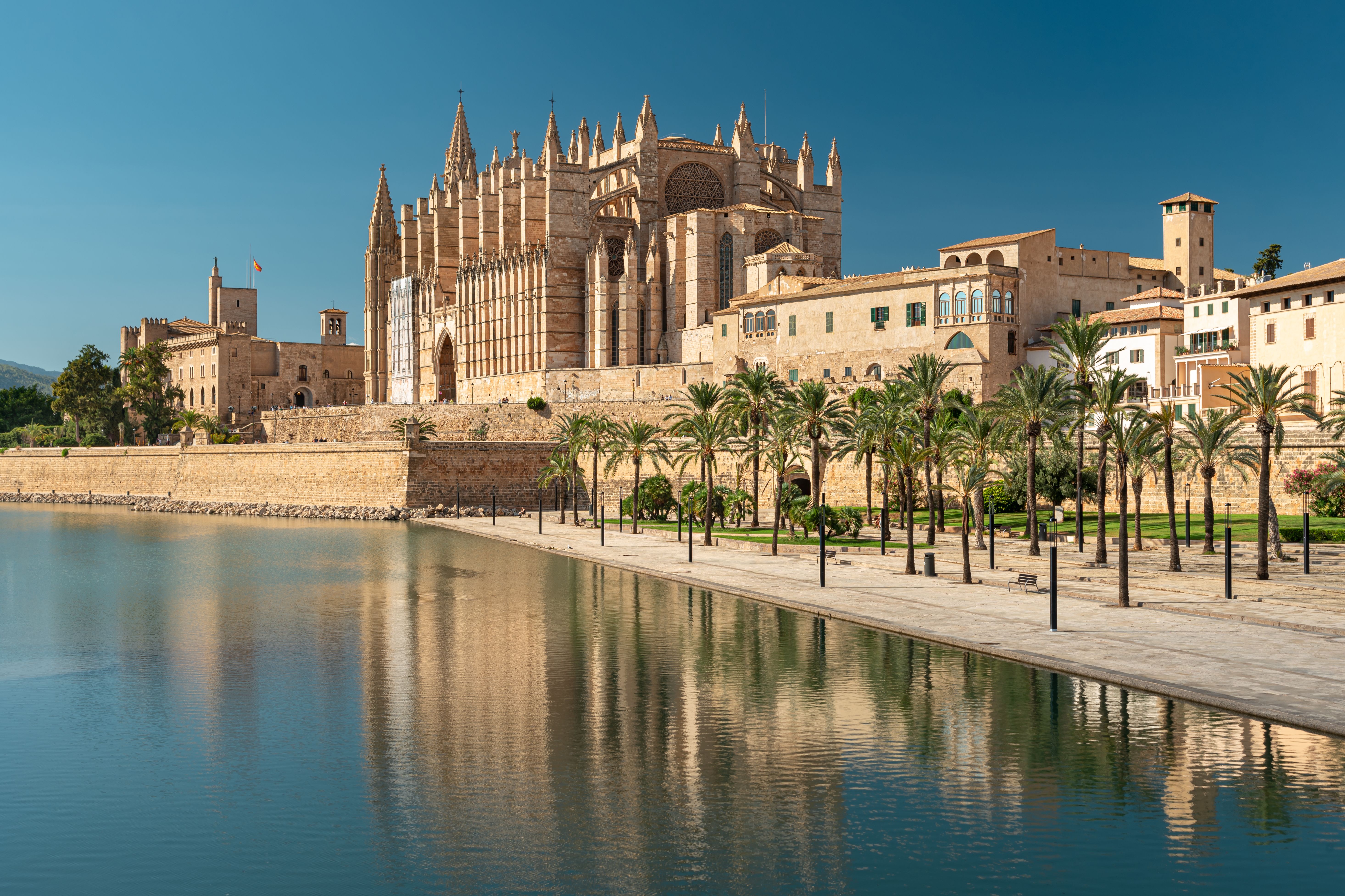 mallorca cathedral
