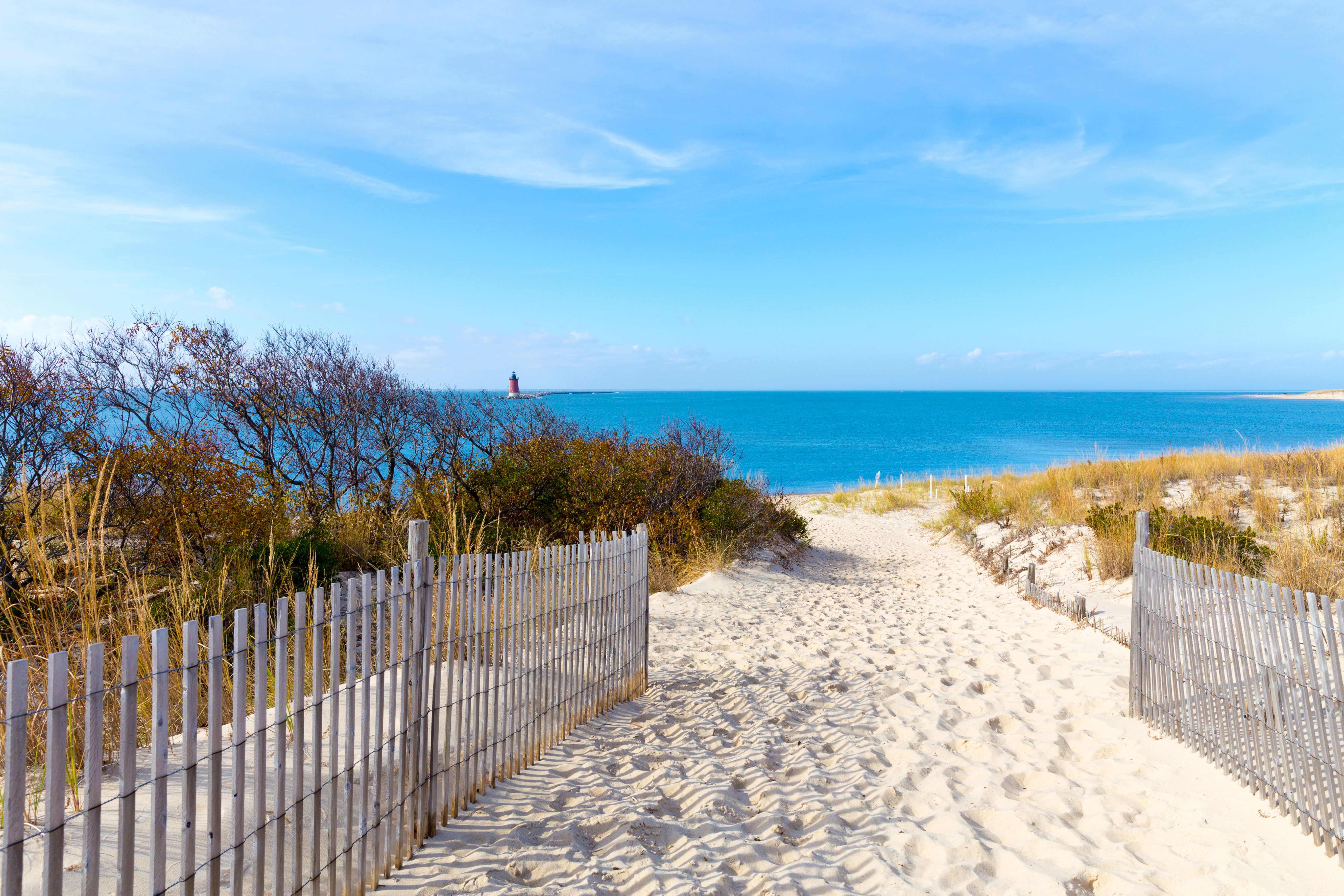 cape henlopen lighthouse