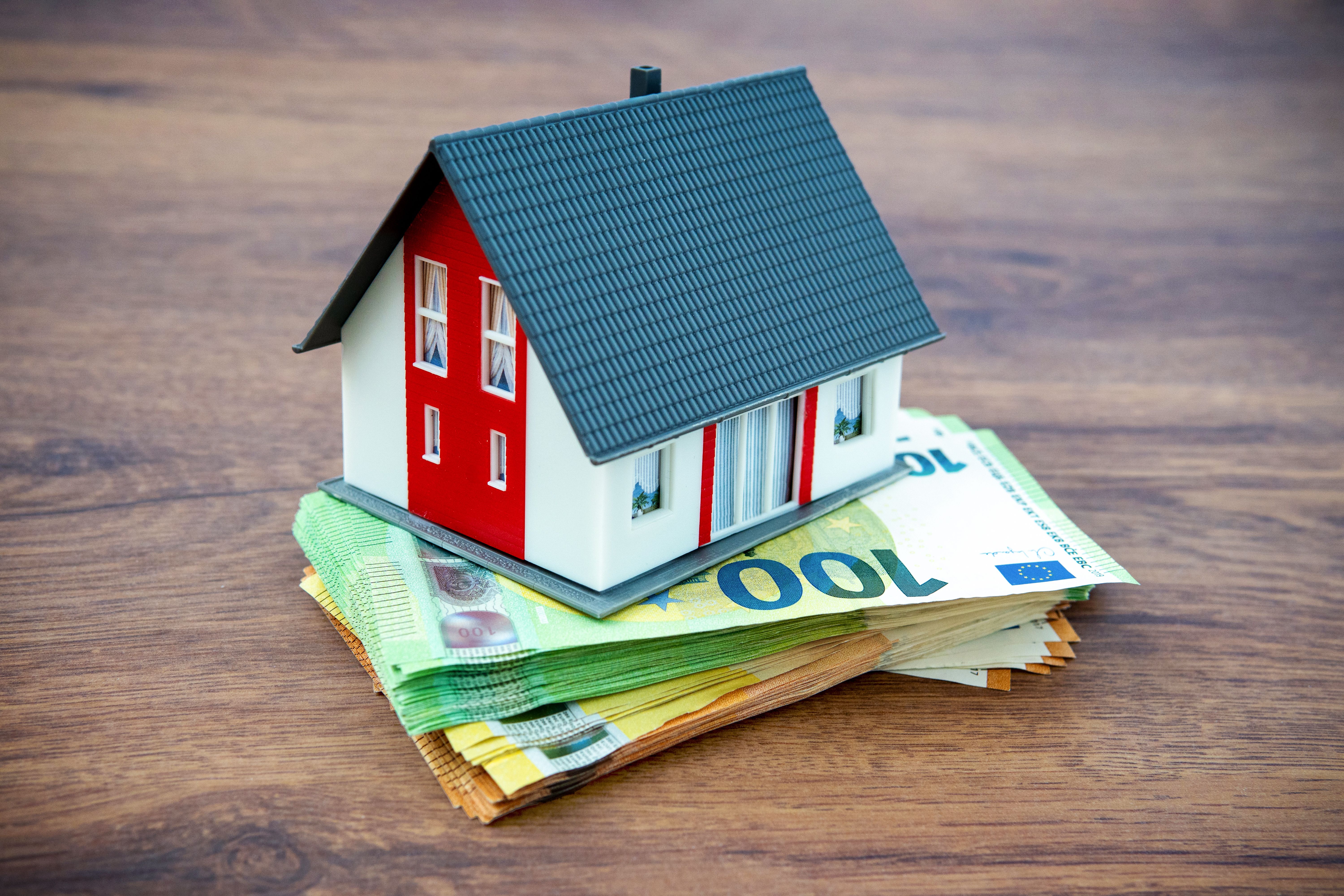 home renovation success