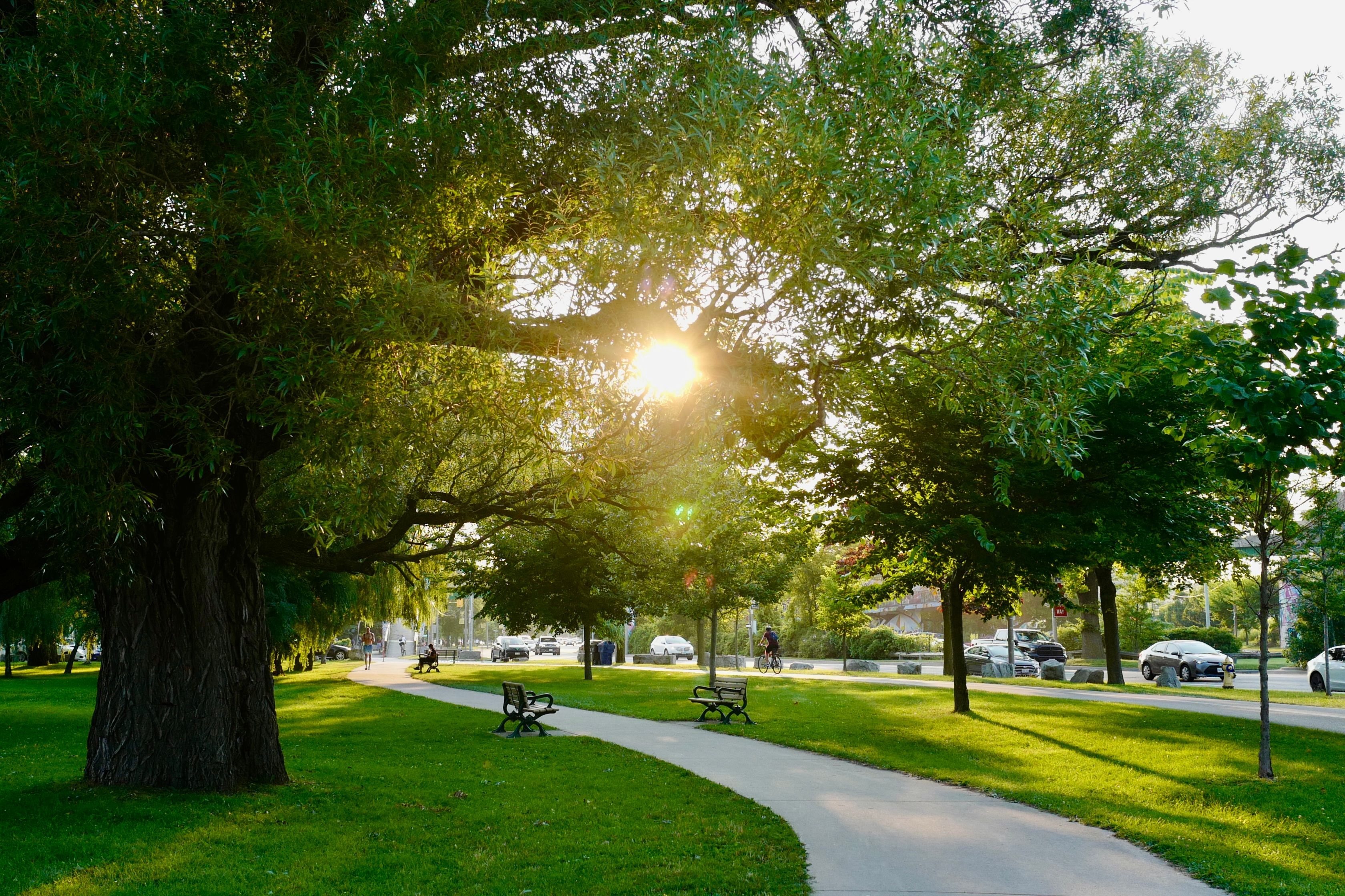 city park