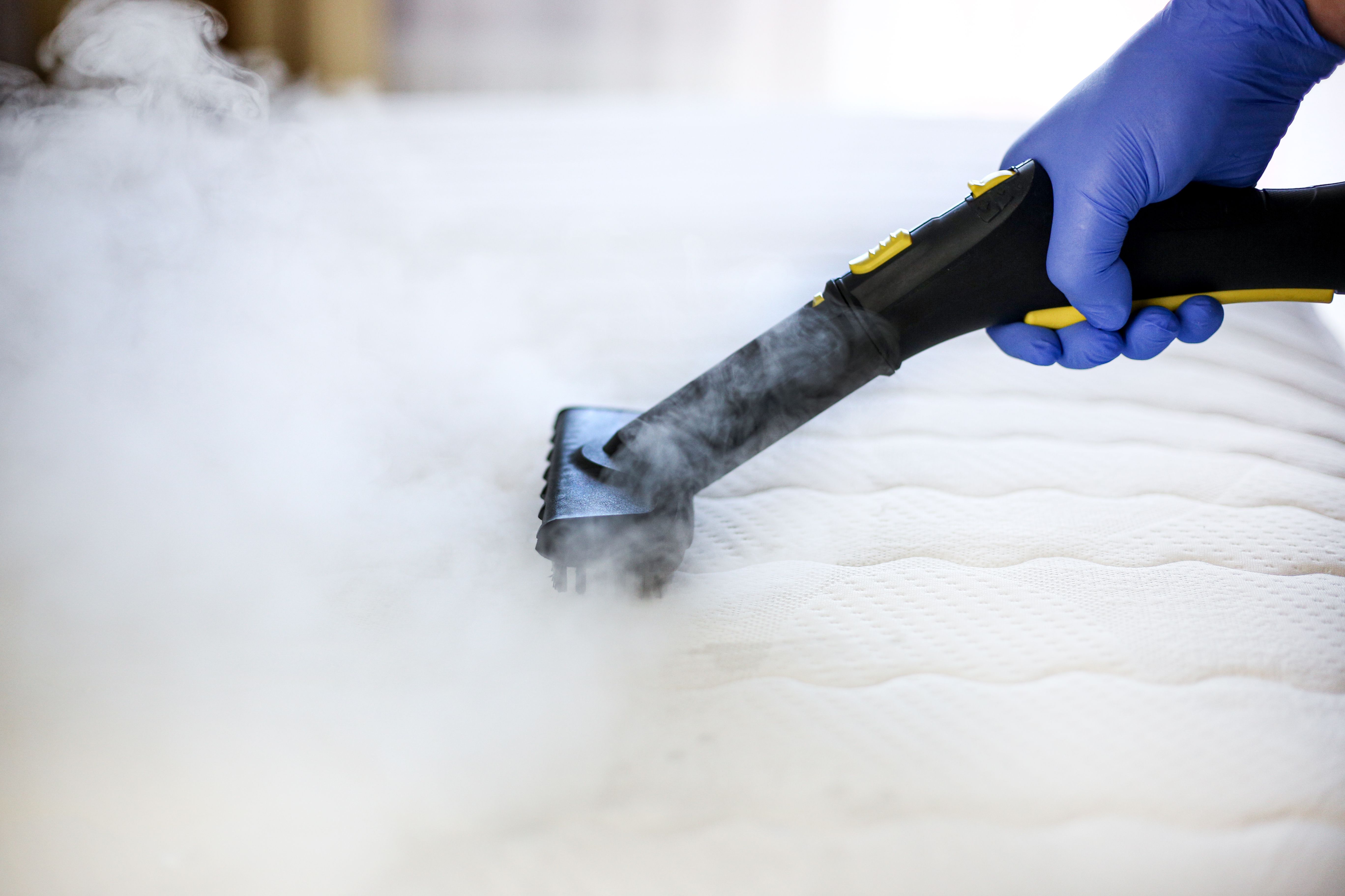steam cleaning