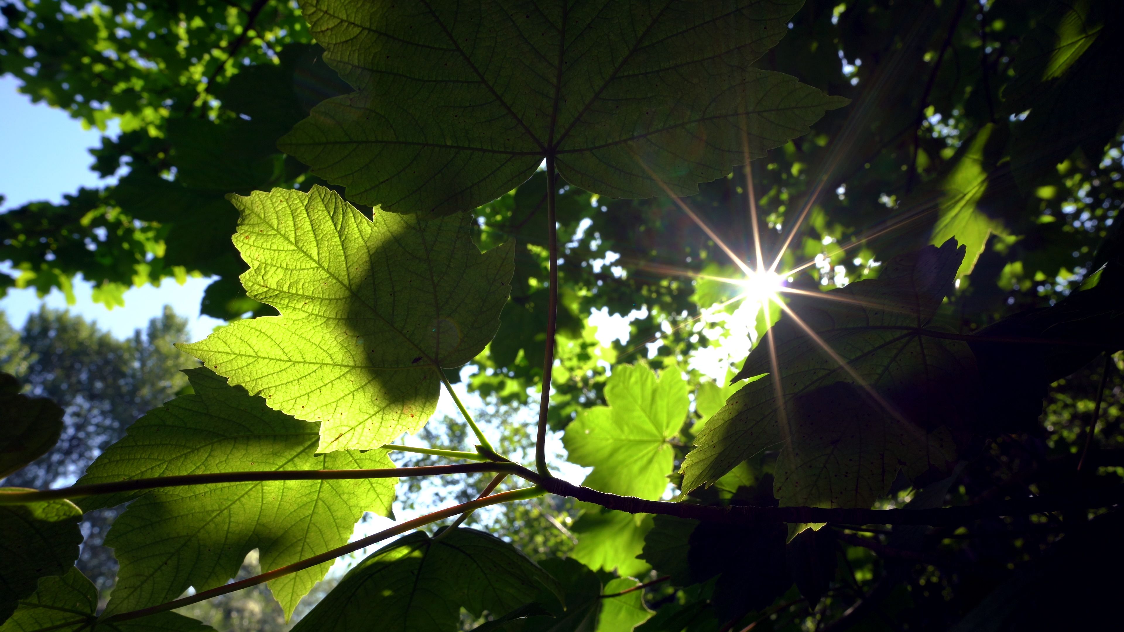 sound therapy Birmingham