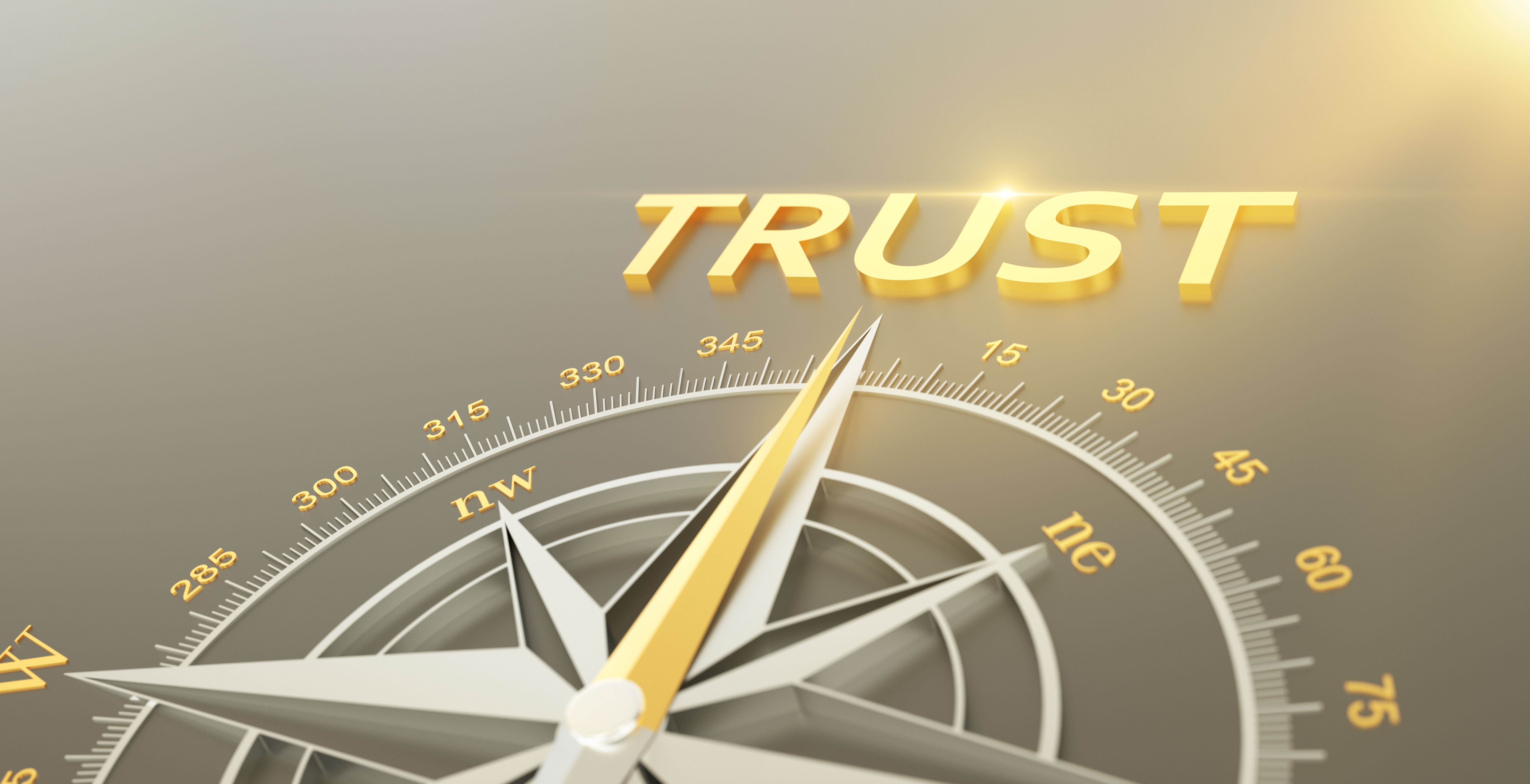 Trust compass concept