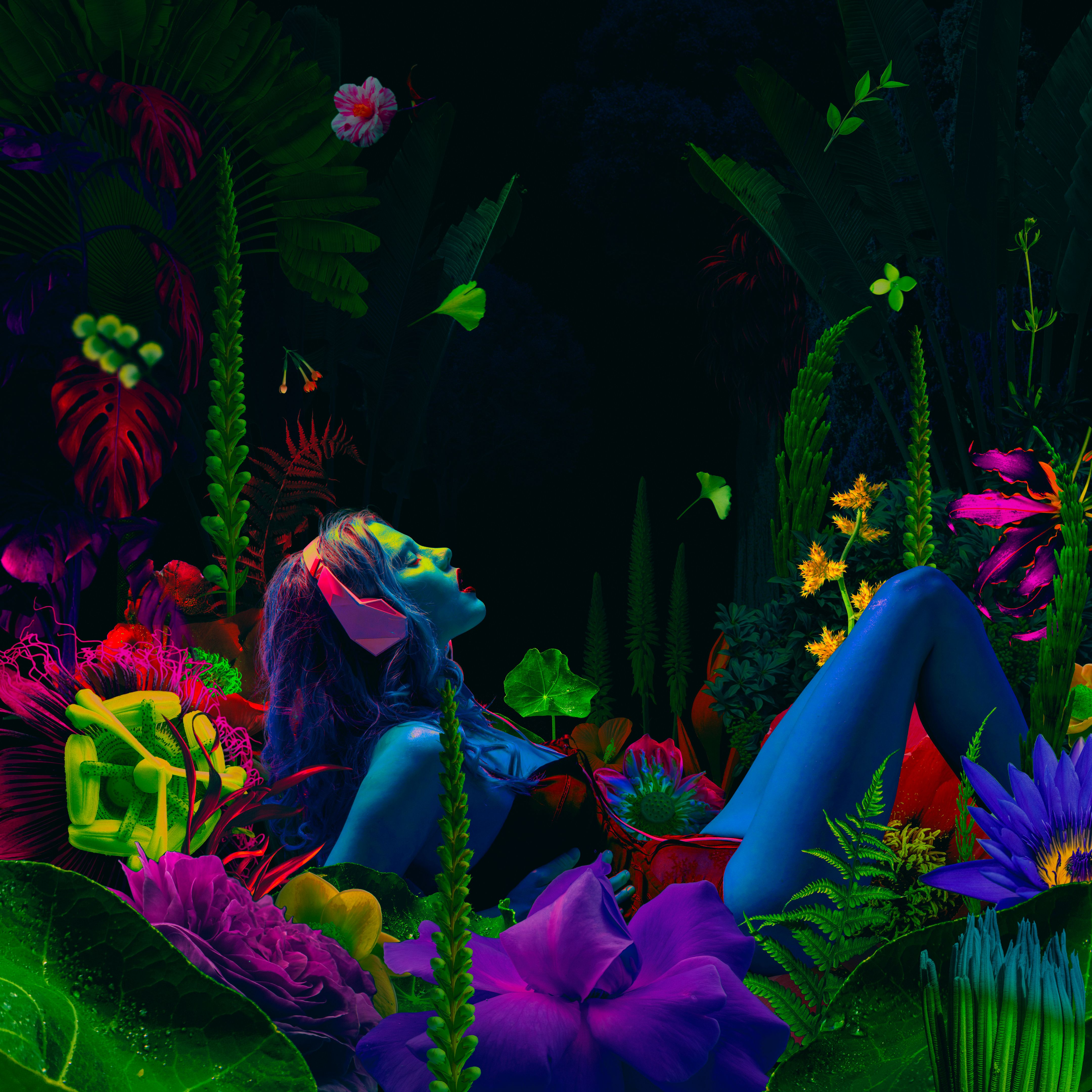 cosmic gardens music