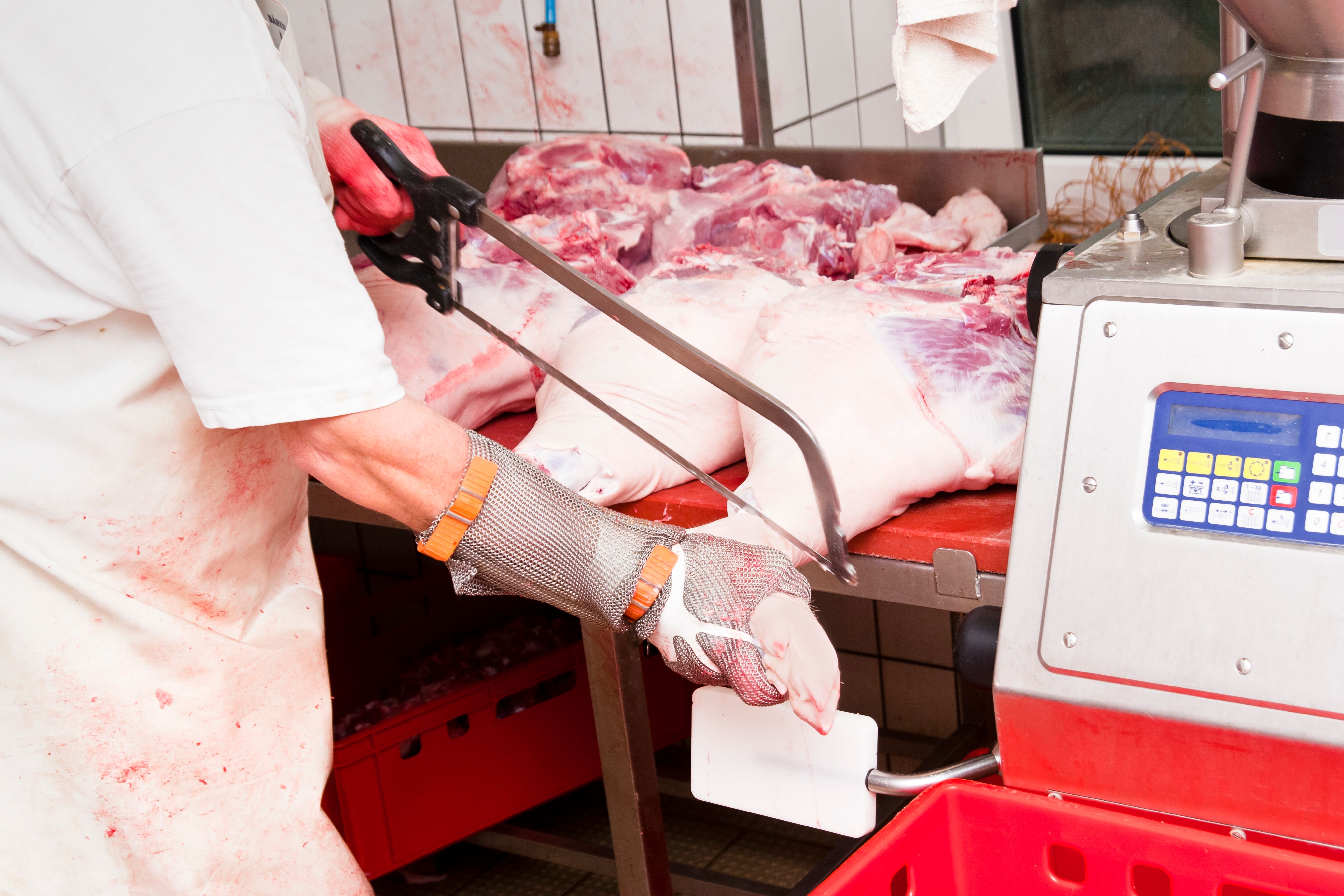 slaughterhouse audit