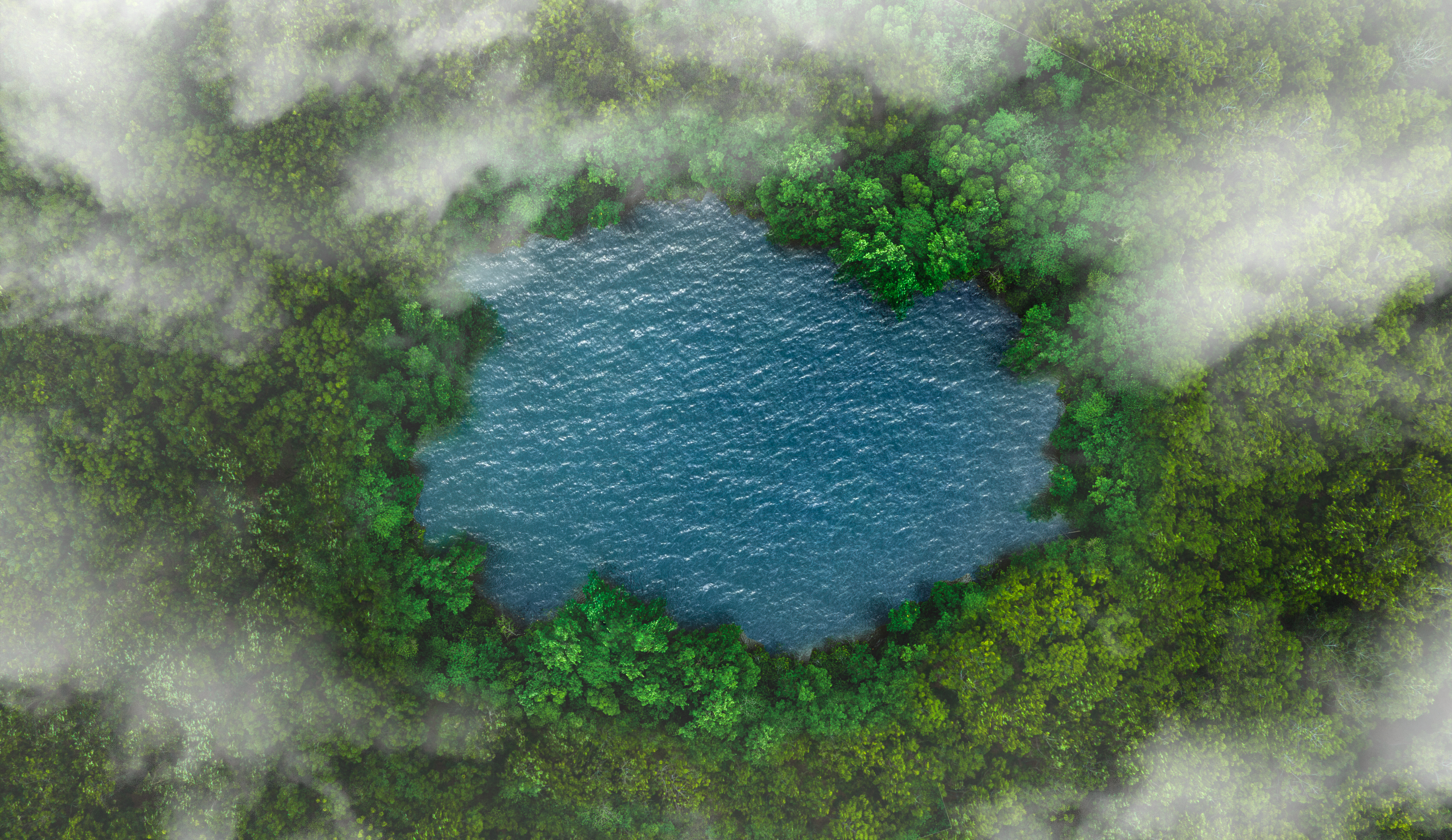 Aerial view of dark green forest and puddle. on the hill where clouds fall Rich natural ecosystems of tropical rainforests. concept of natural forest conservation