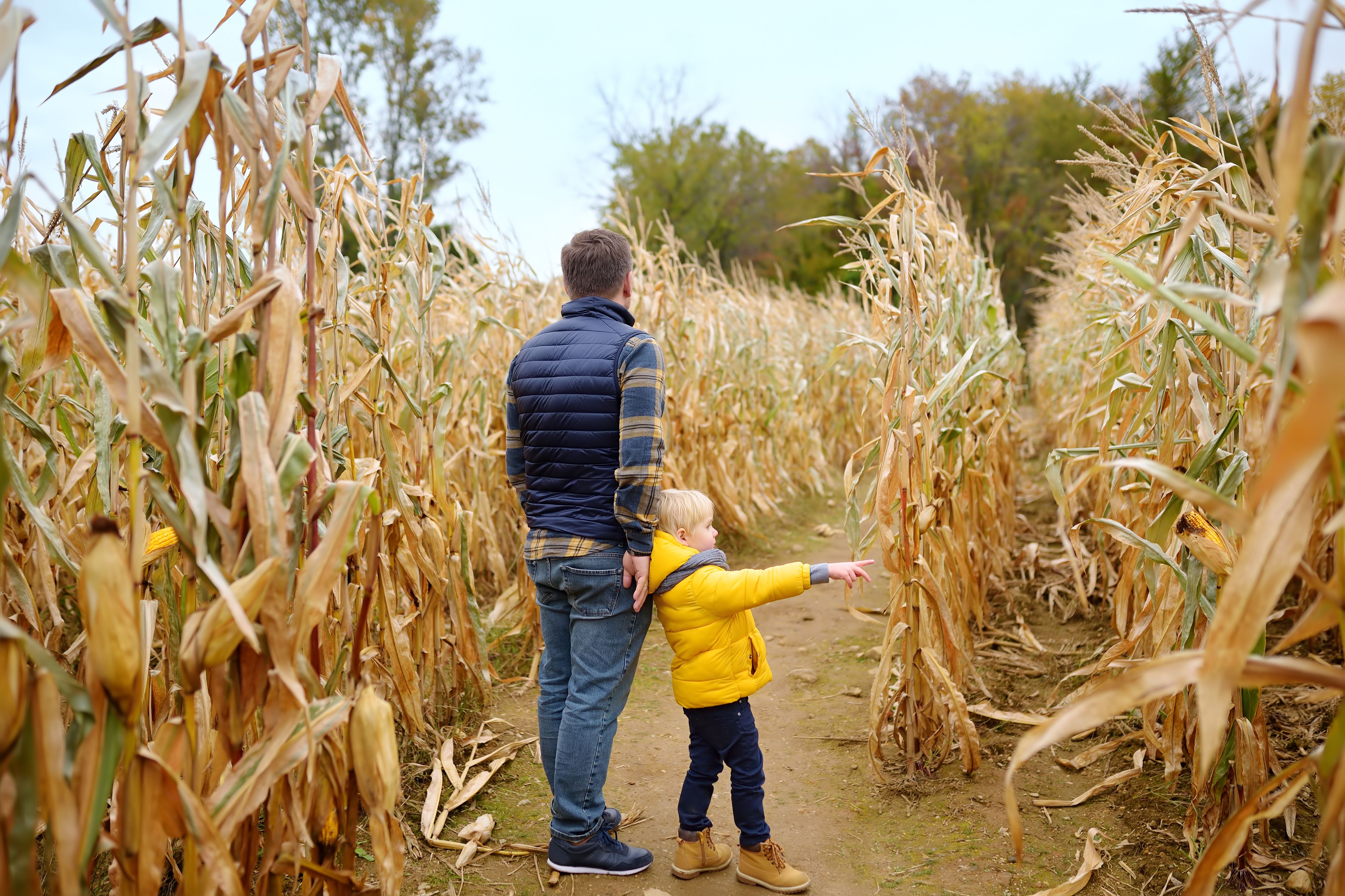 hayride adventure