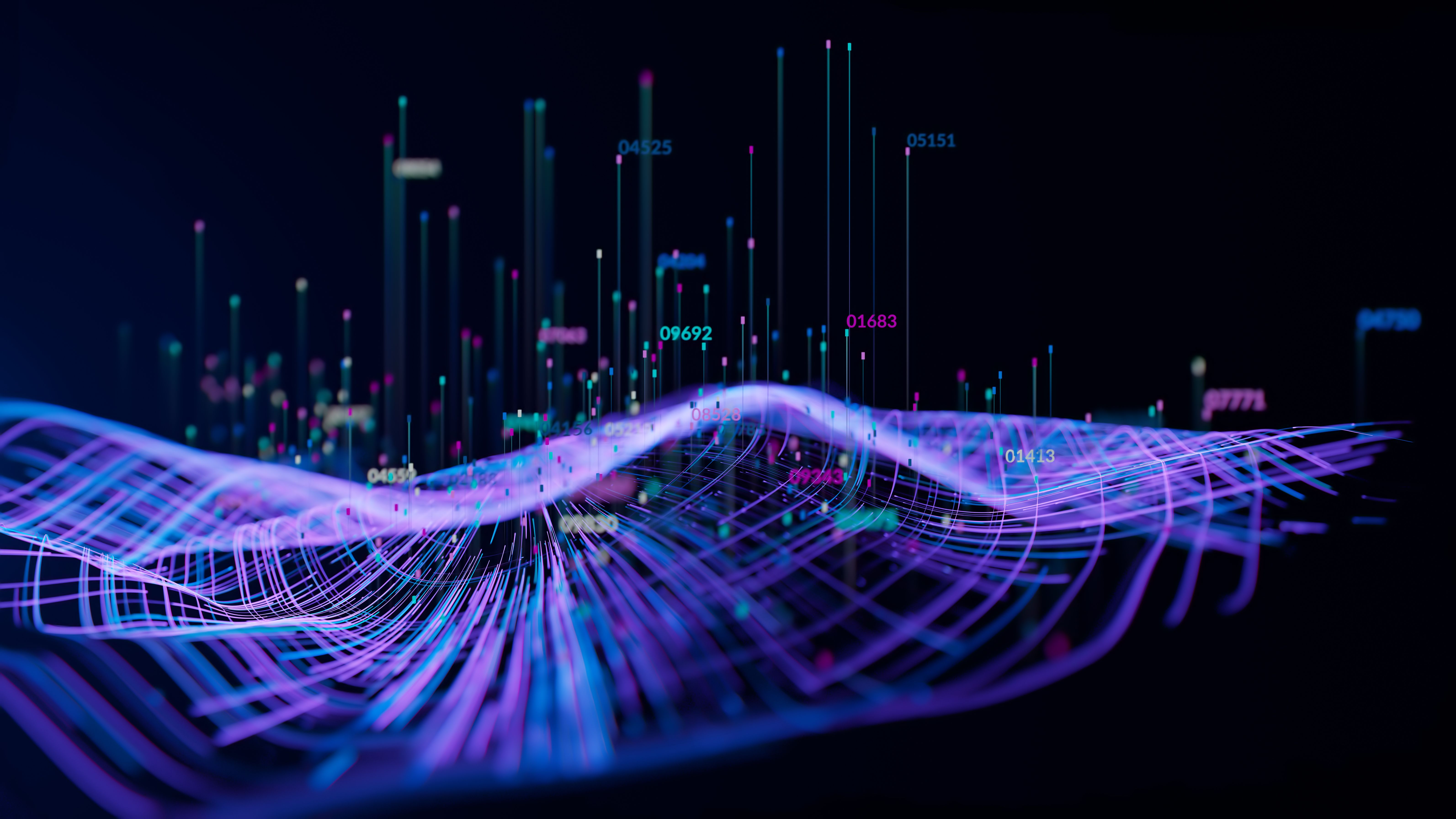 document translation