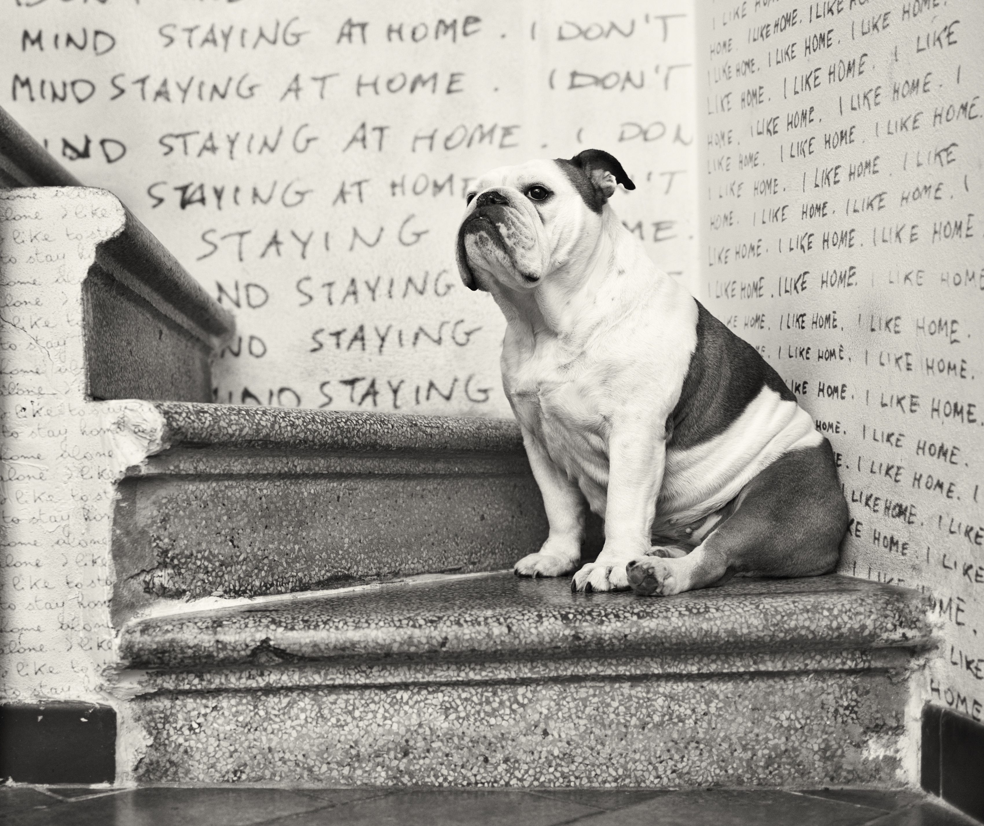 I like to stay at home I like to stay at home