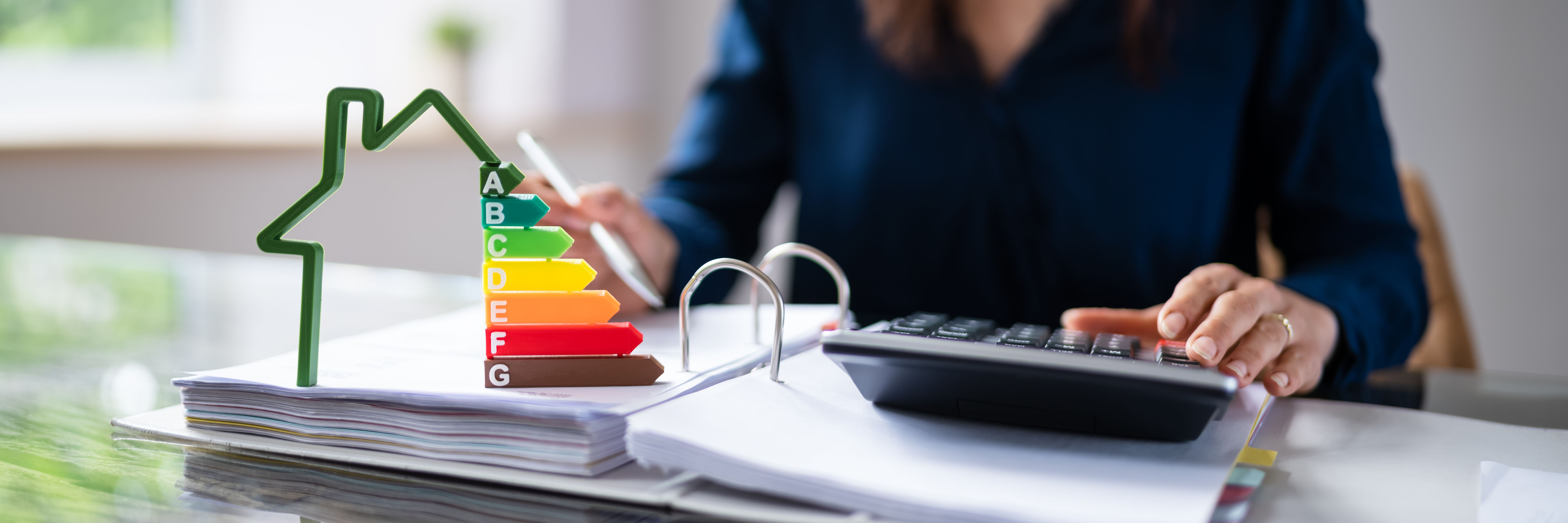 professional energy audit