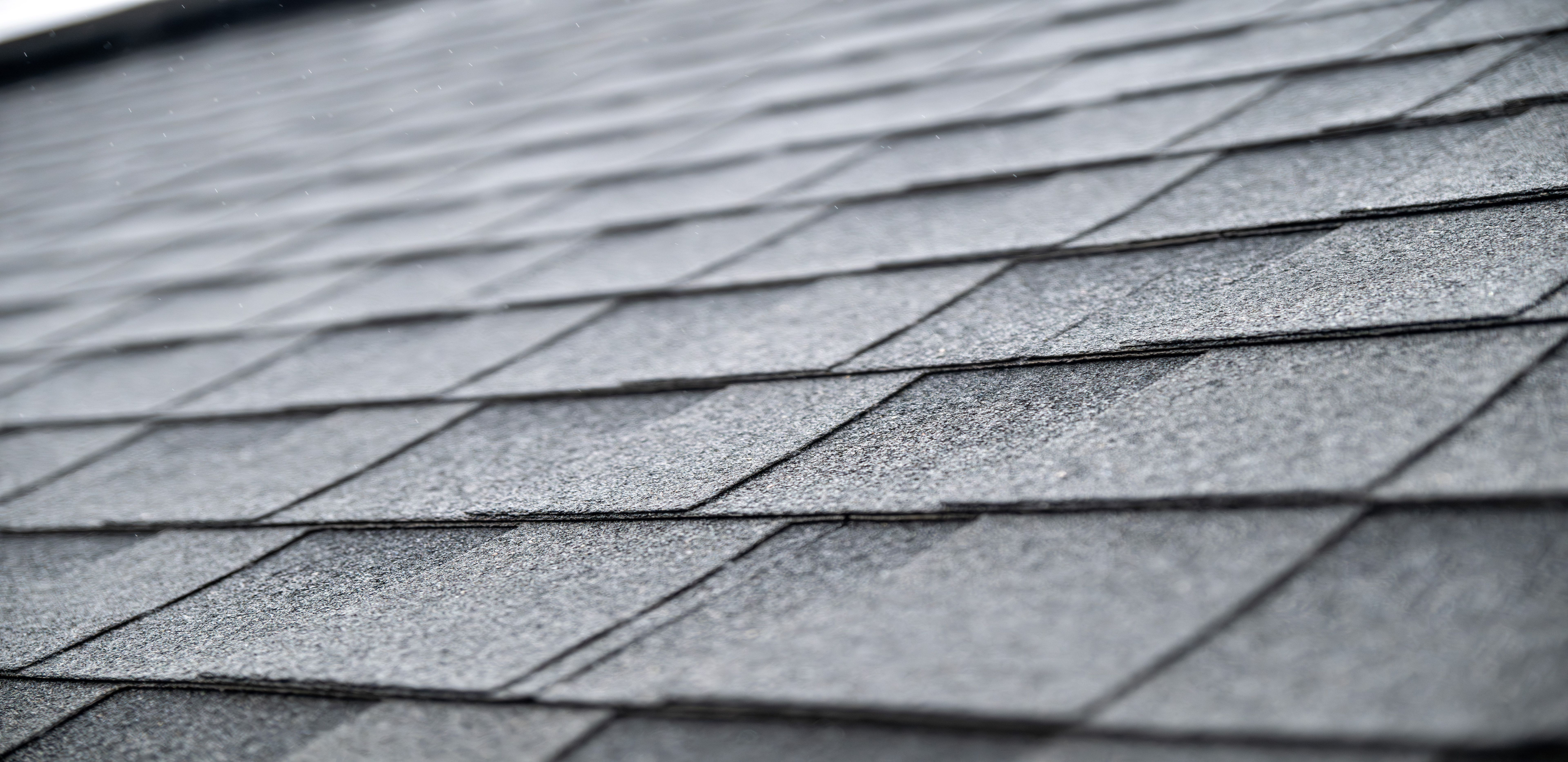 asphalt shingle roof