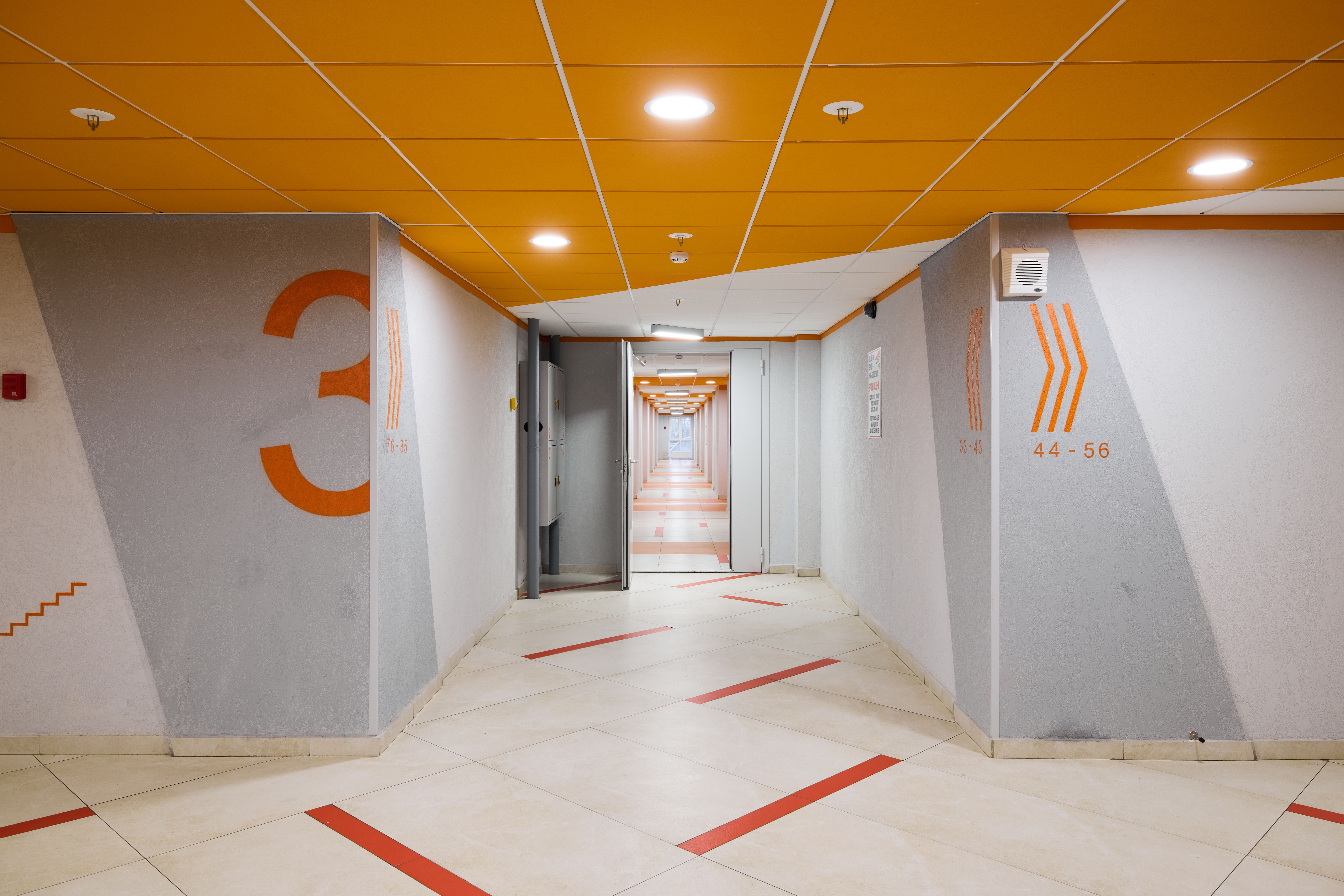 bold patterns interior