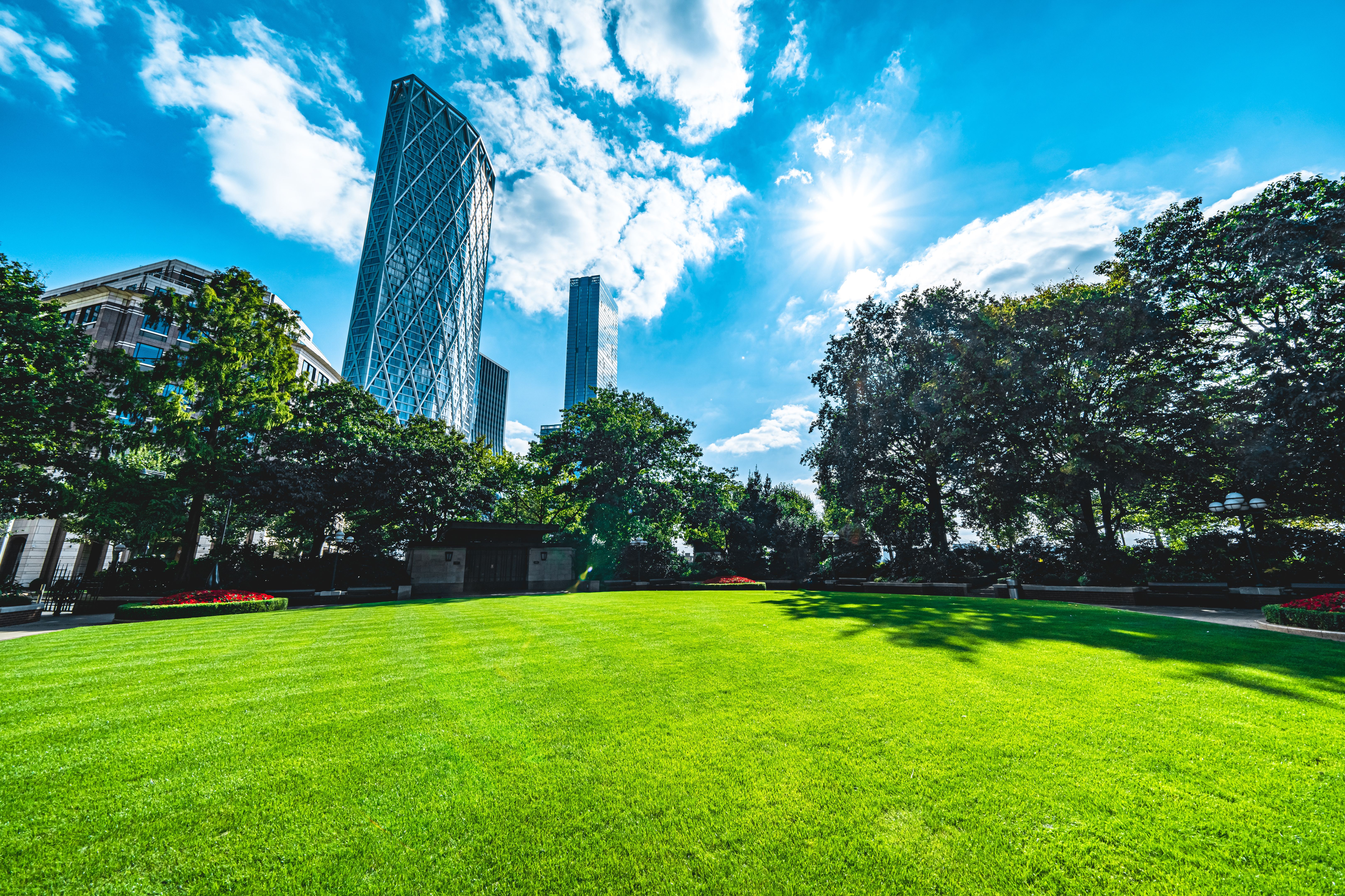 landscaping commercial property